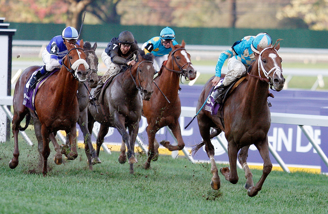 English Channel wins the 2007 Breeders' Cup Turf at Monmouth Park