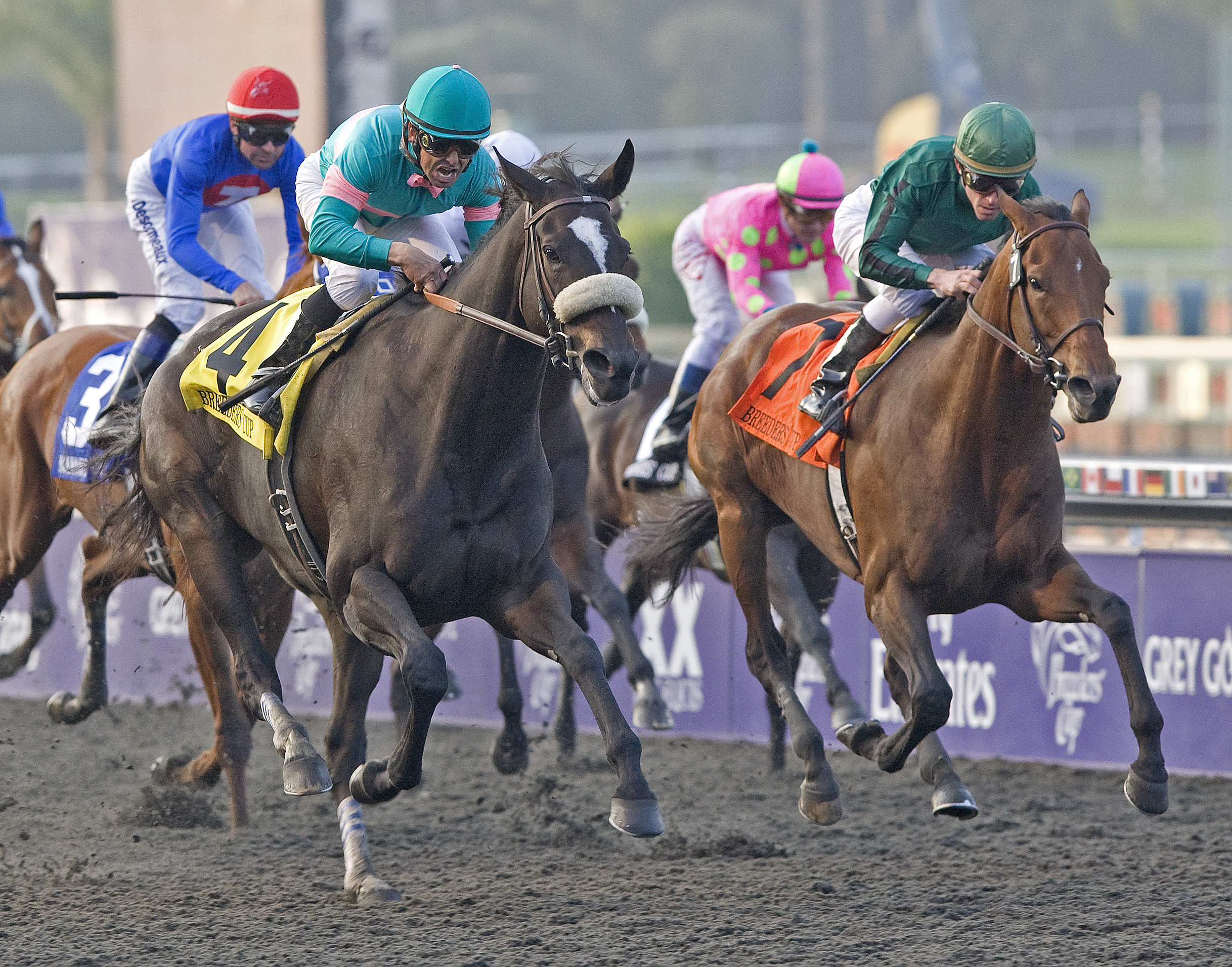 Zenyatta wins the 2009 Breeders Cup Classic