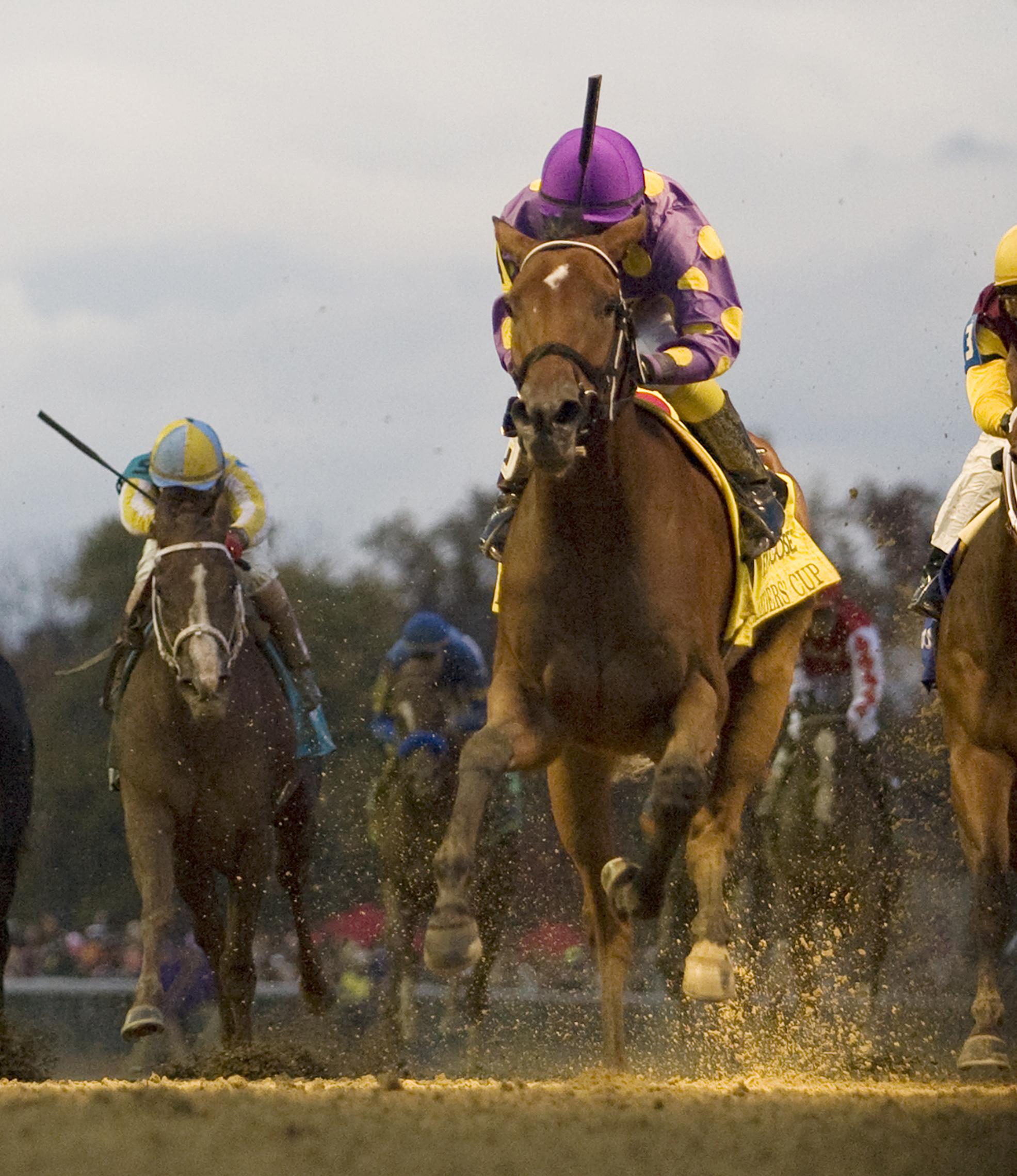 Awesome Feather/BC Juvenile Fillies