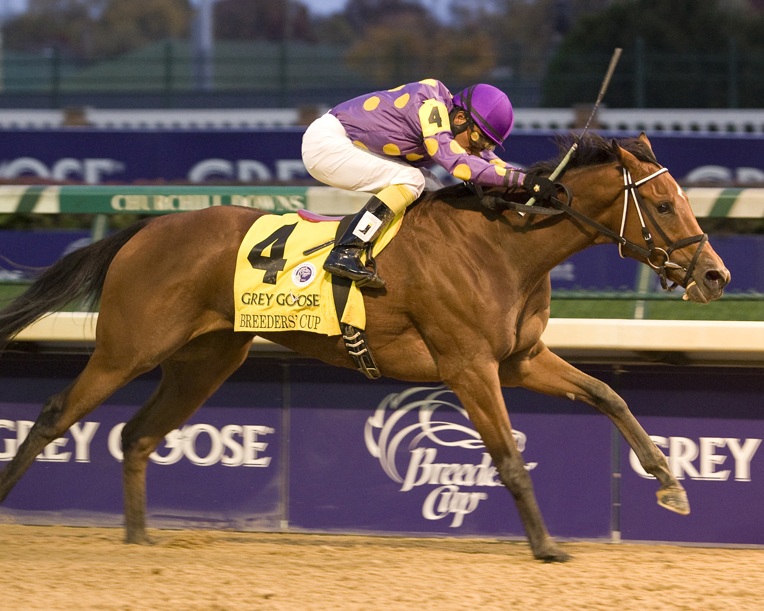 Awesome Feather - Eclipse Awards