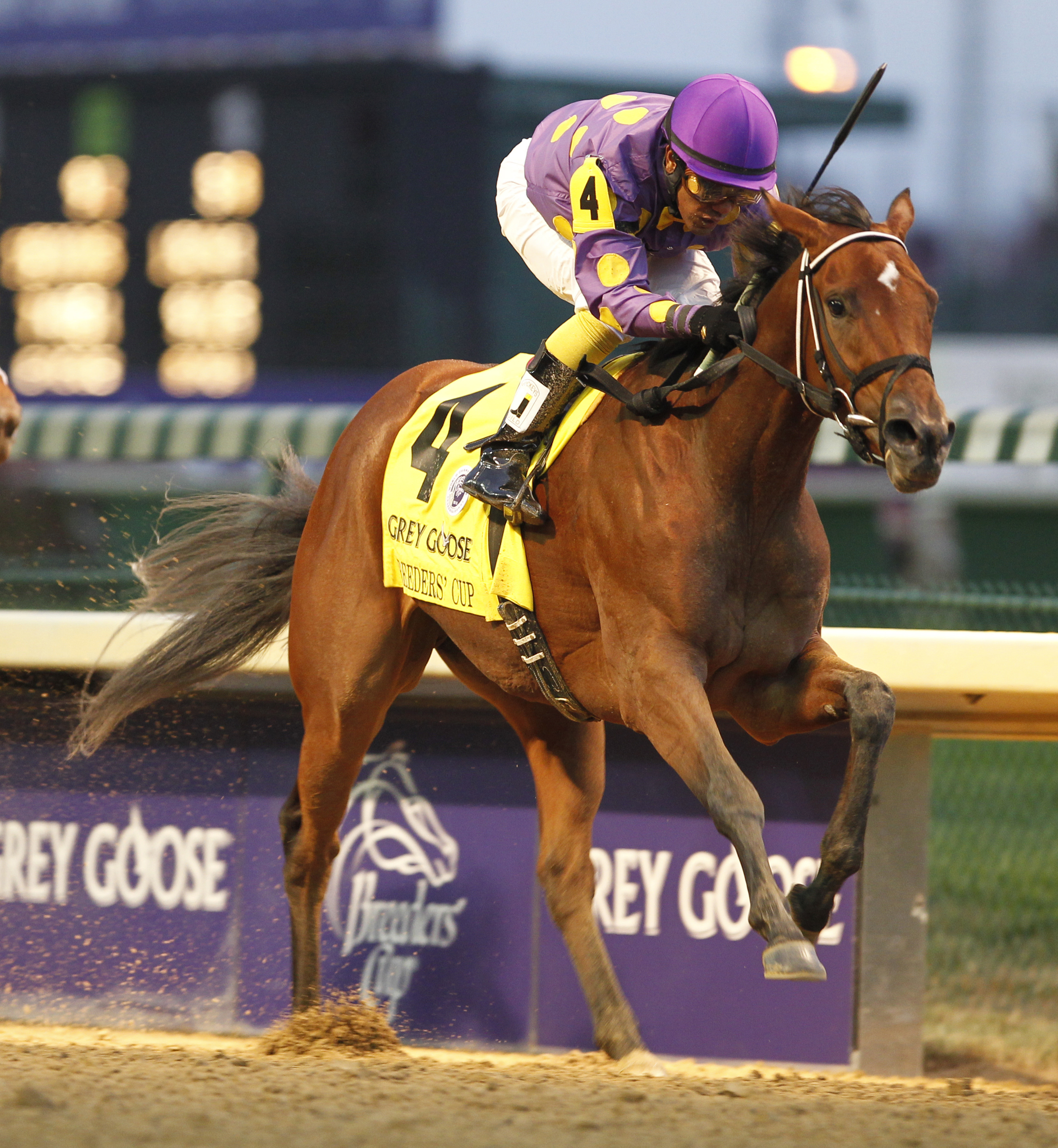 Awesome Feather in Breeders' Cup