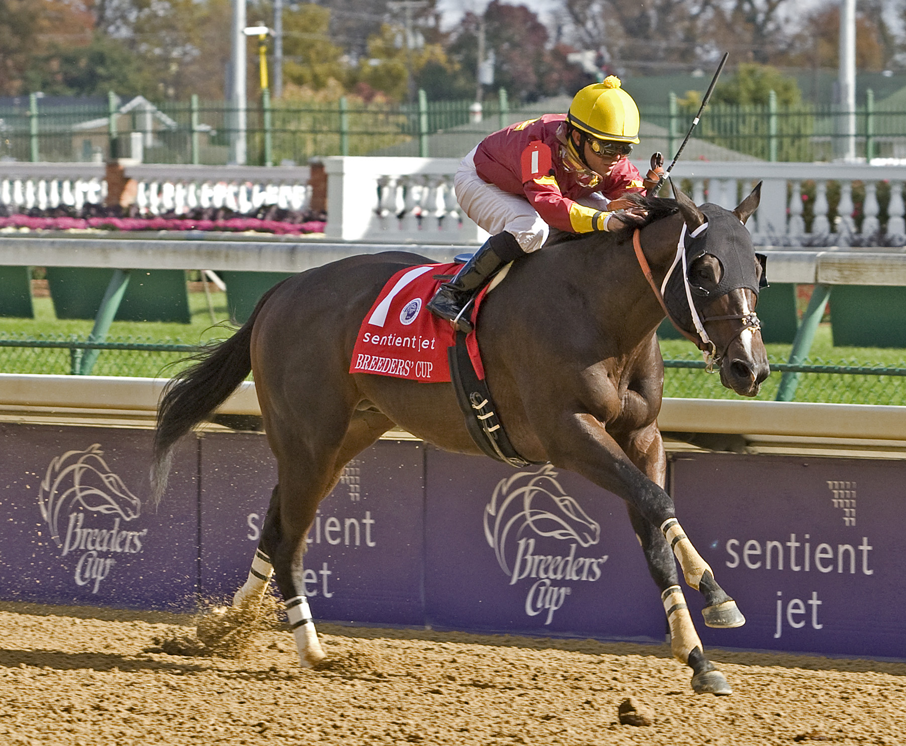 Big Drama/BC Sprint