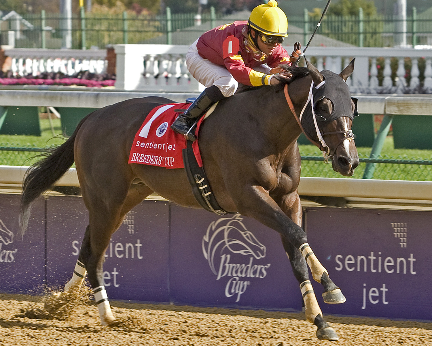 Big Drama - Eclipse Awards