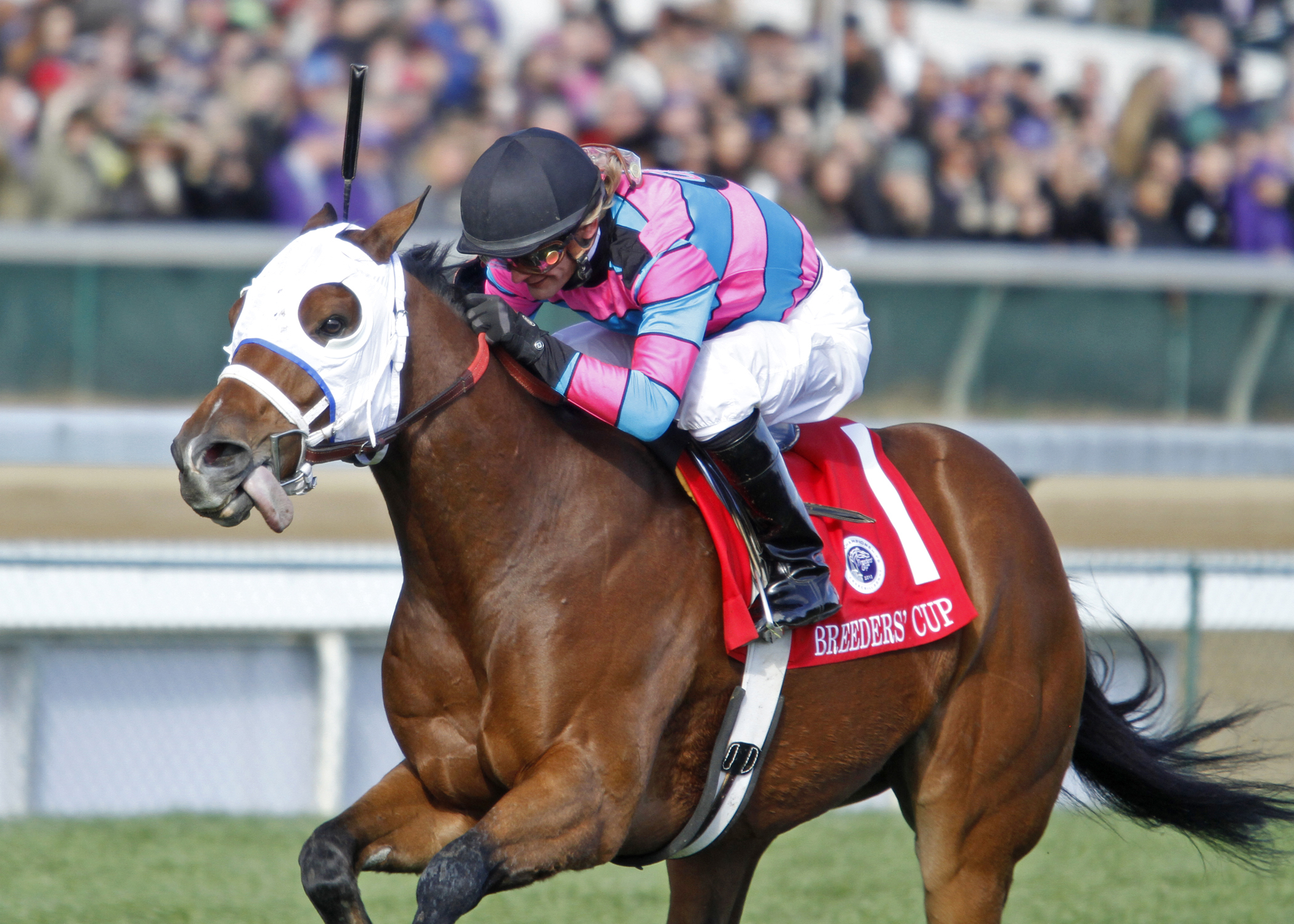 Chamberlain Bridge/BC Turf Sprint