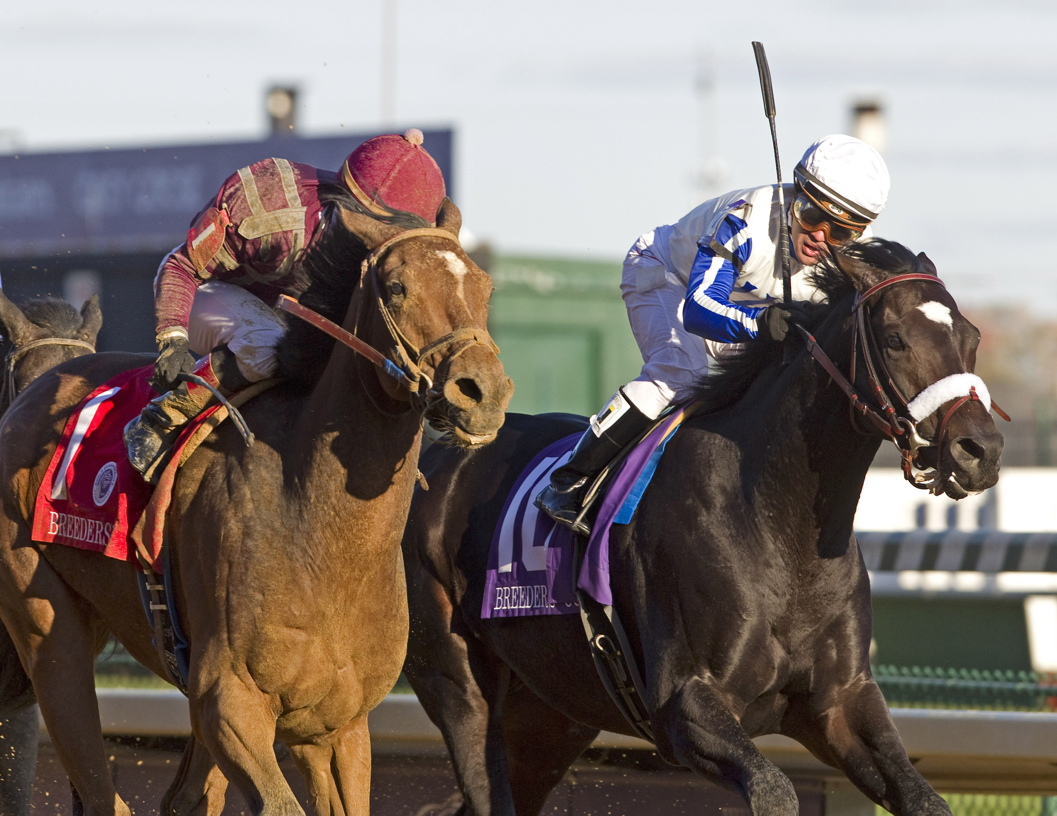 Morning Line BC Dirt Mile