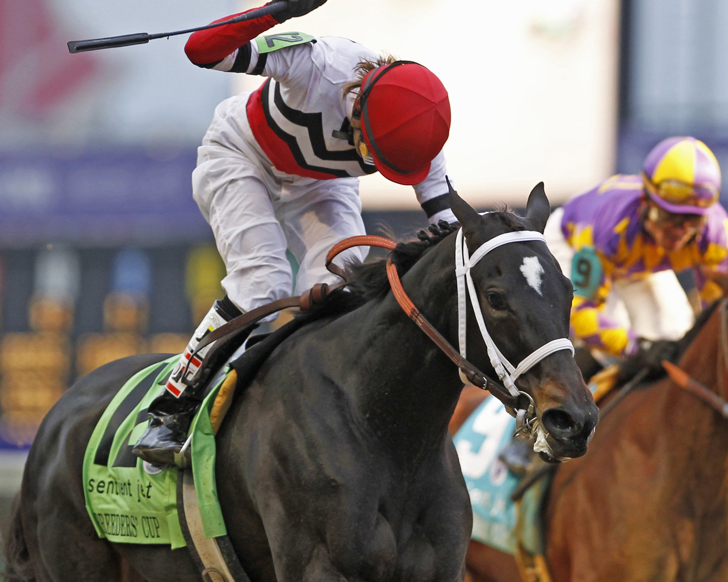 Dubai Majesty - Eclipse Awards