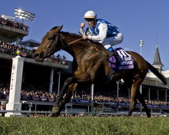 Goldikova - Eclipse Awards