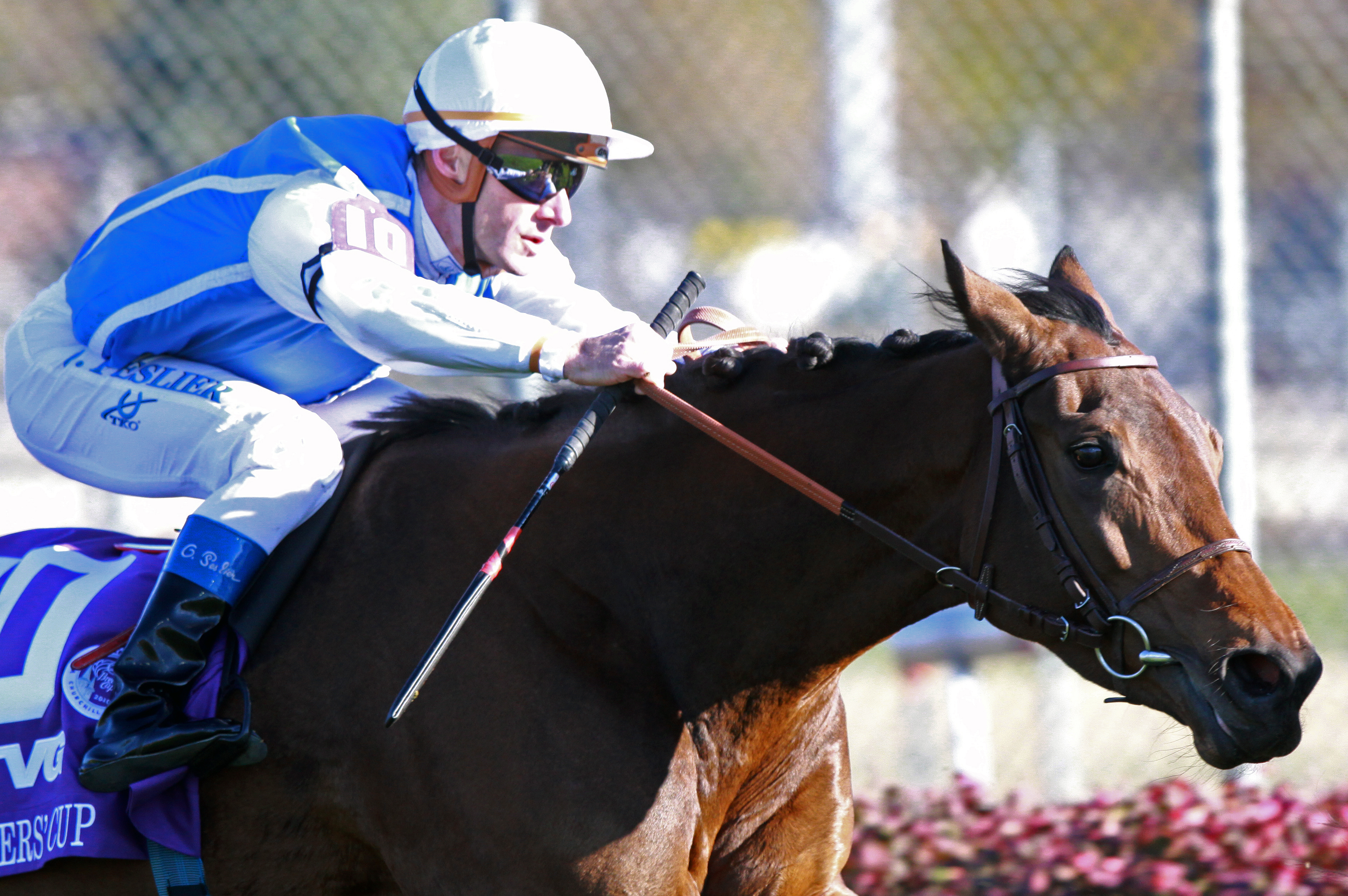 Goldikova/Breeders' Cup Mile 2010