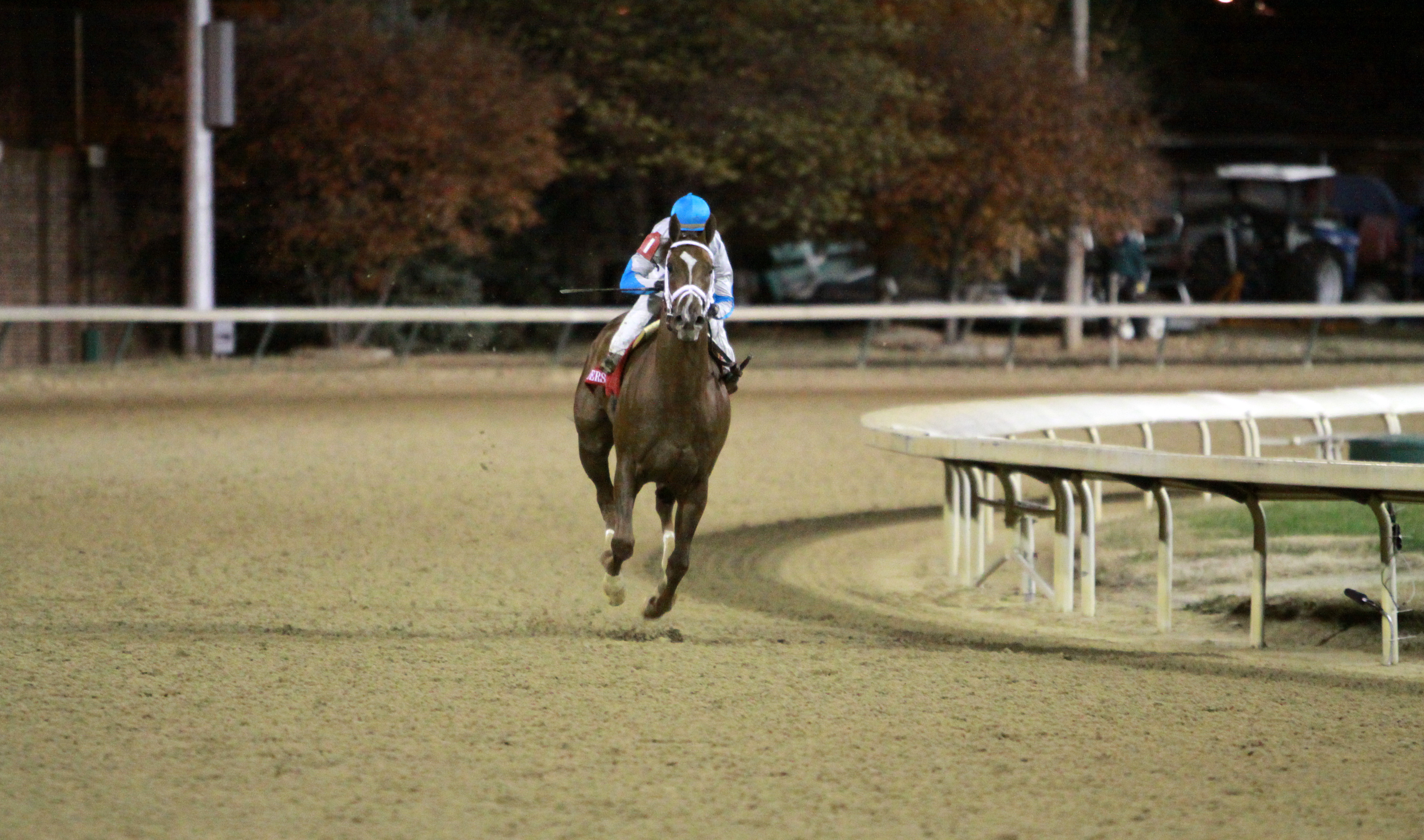 Life At Ten - Breeders' Cup Ladies' Classic