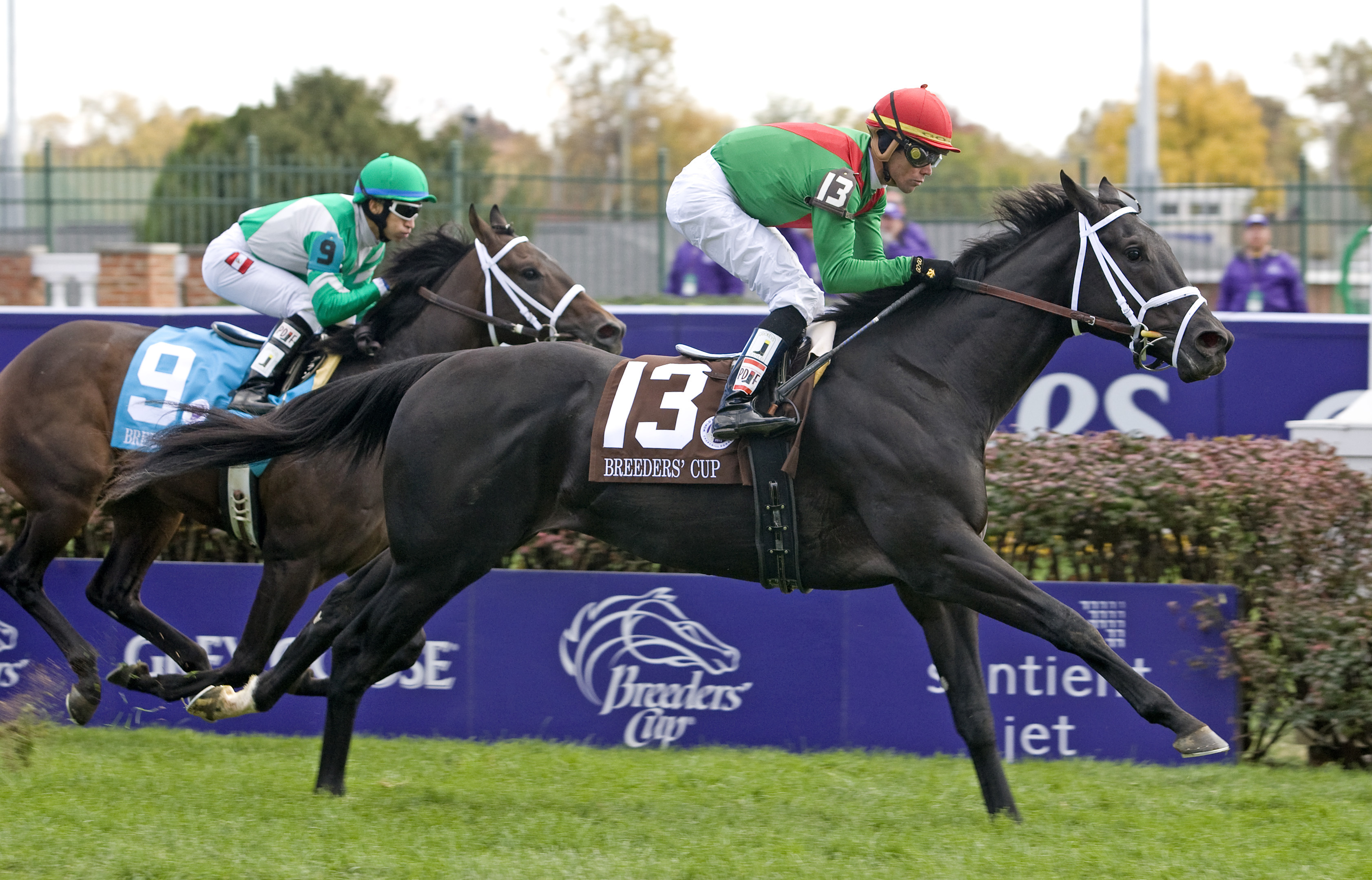 Pluck/BC Juvenile Turf