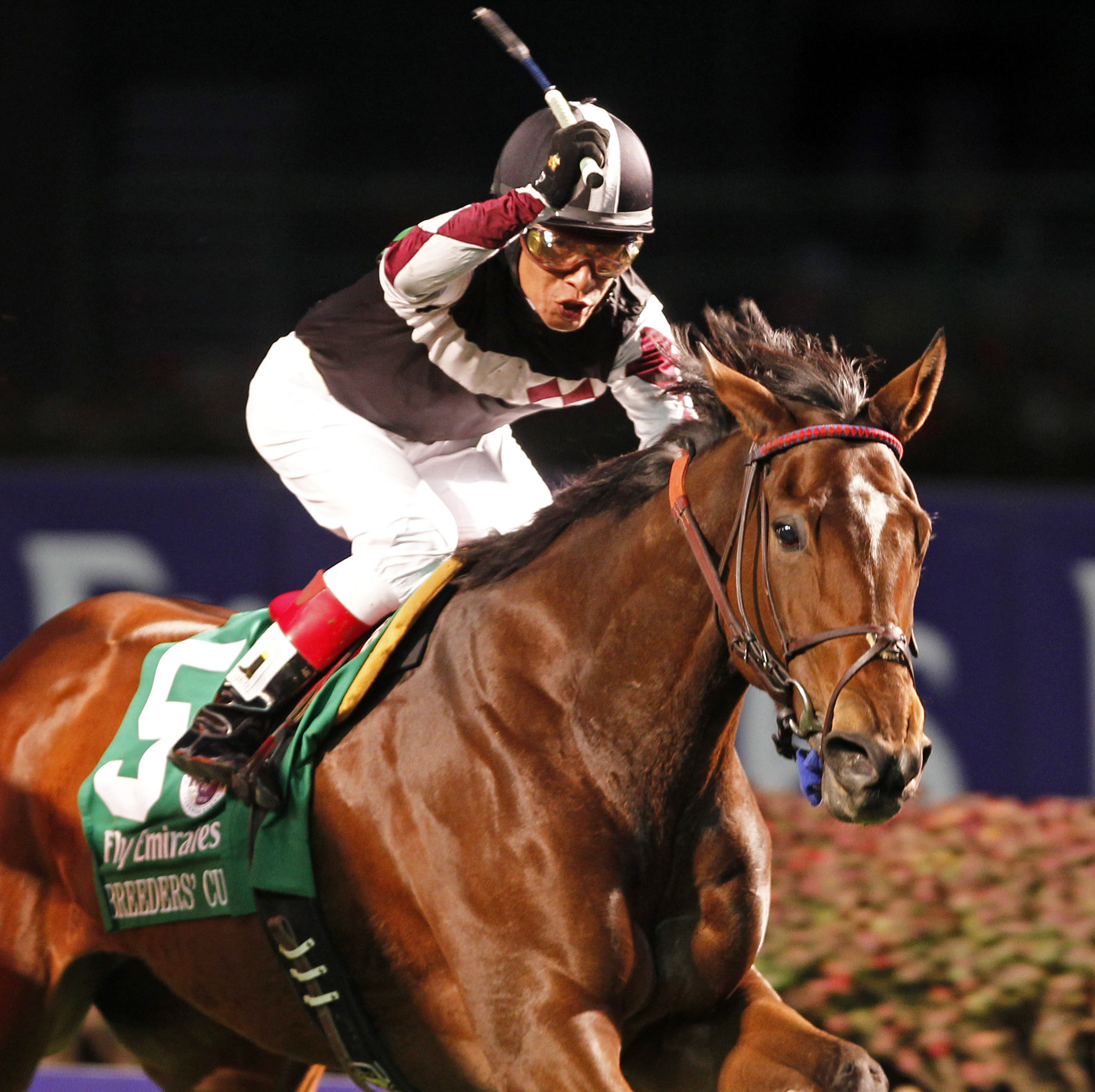 Shared Account/BC Filly and Mare Turf