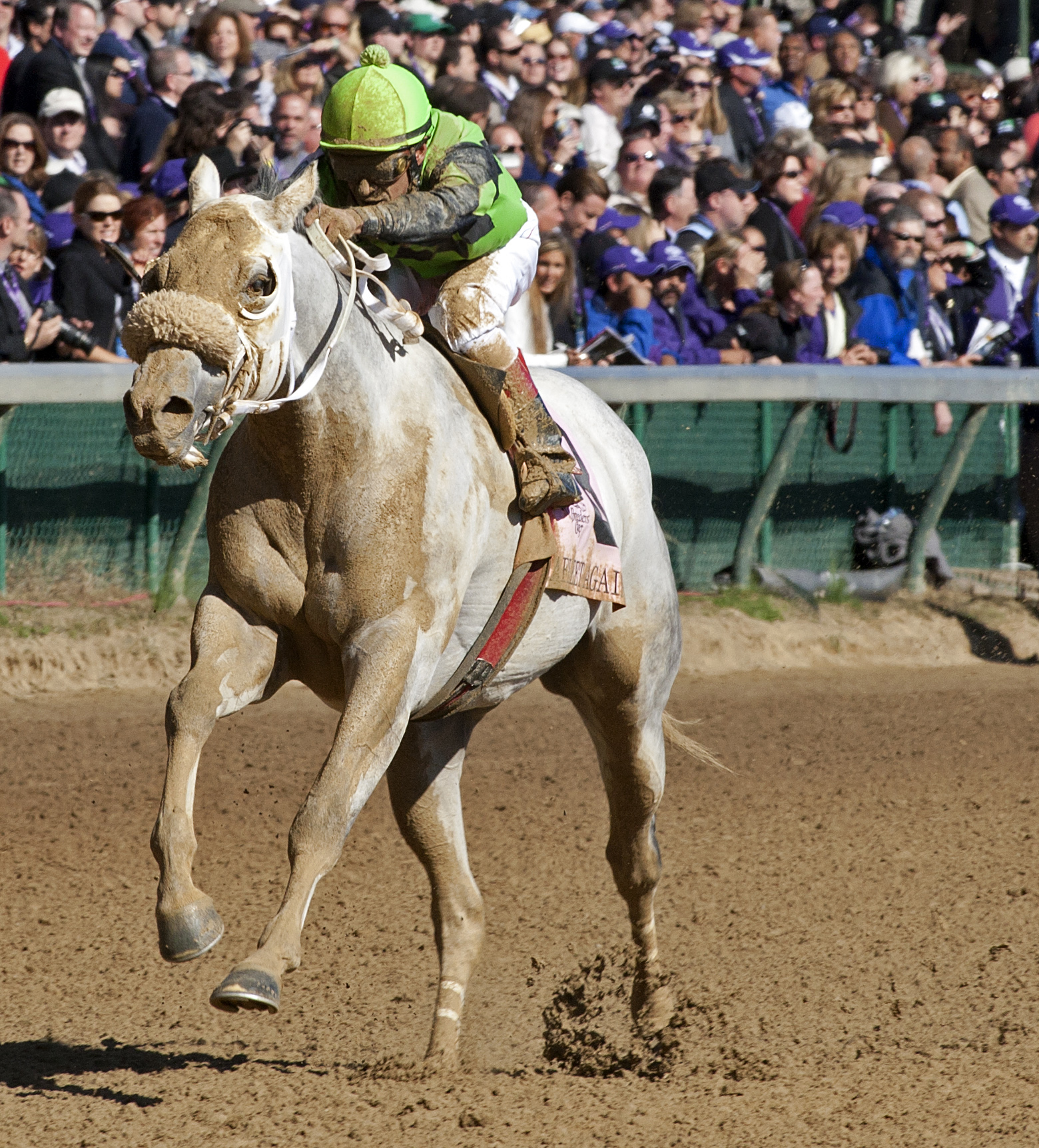 Afleet Again/BC Marathon