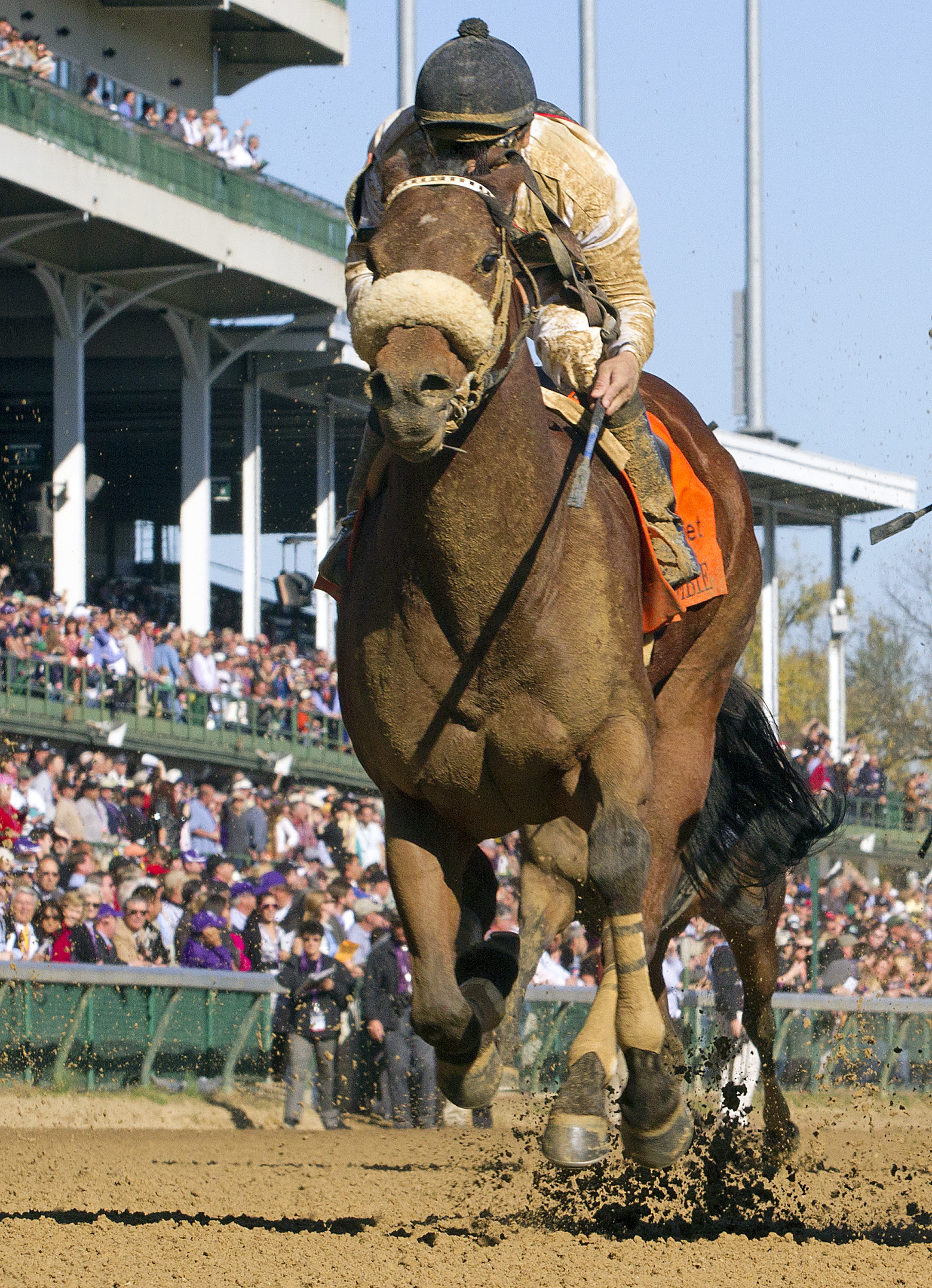 Amazombie/BC Sprint