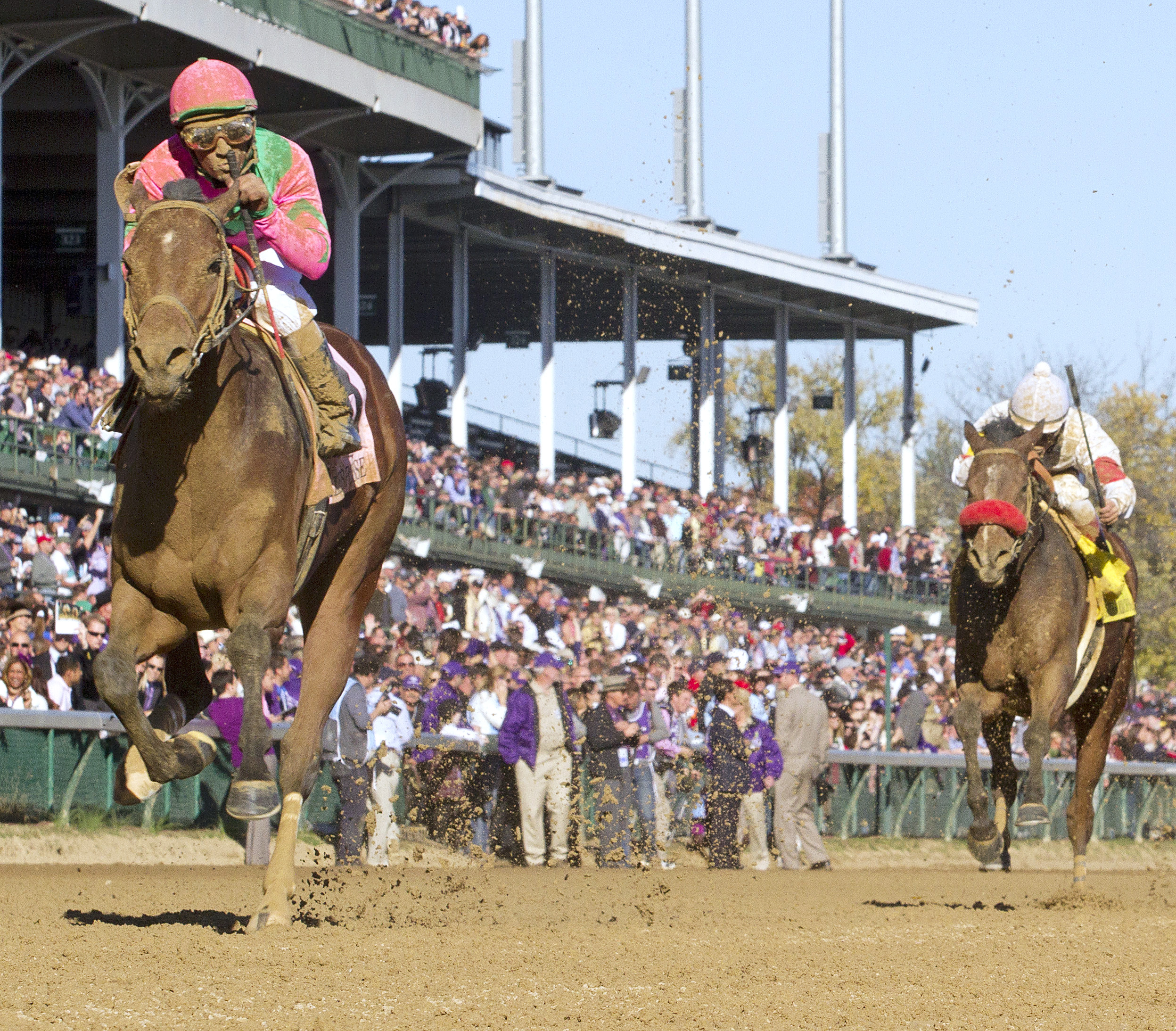 Calebs Posse wins the 2011 Breeders Cup Dirt Mile
