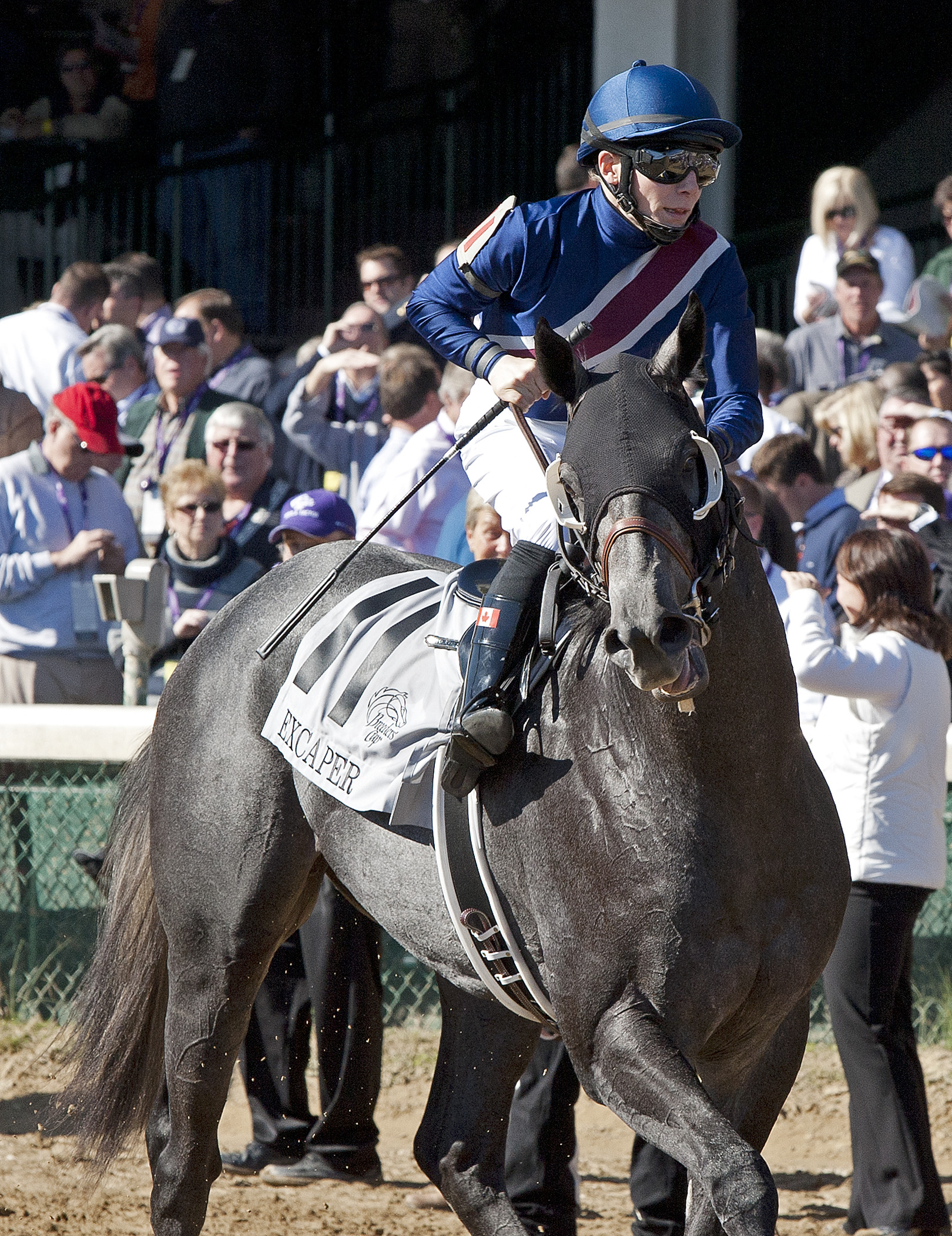 Excaper/Breeders' Cup Juvenile Turf
