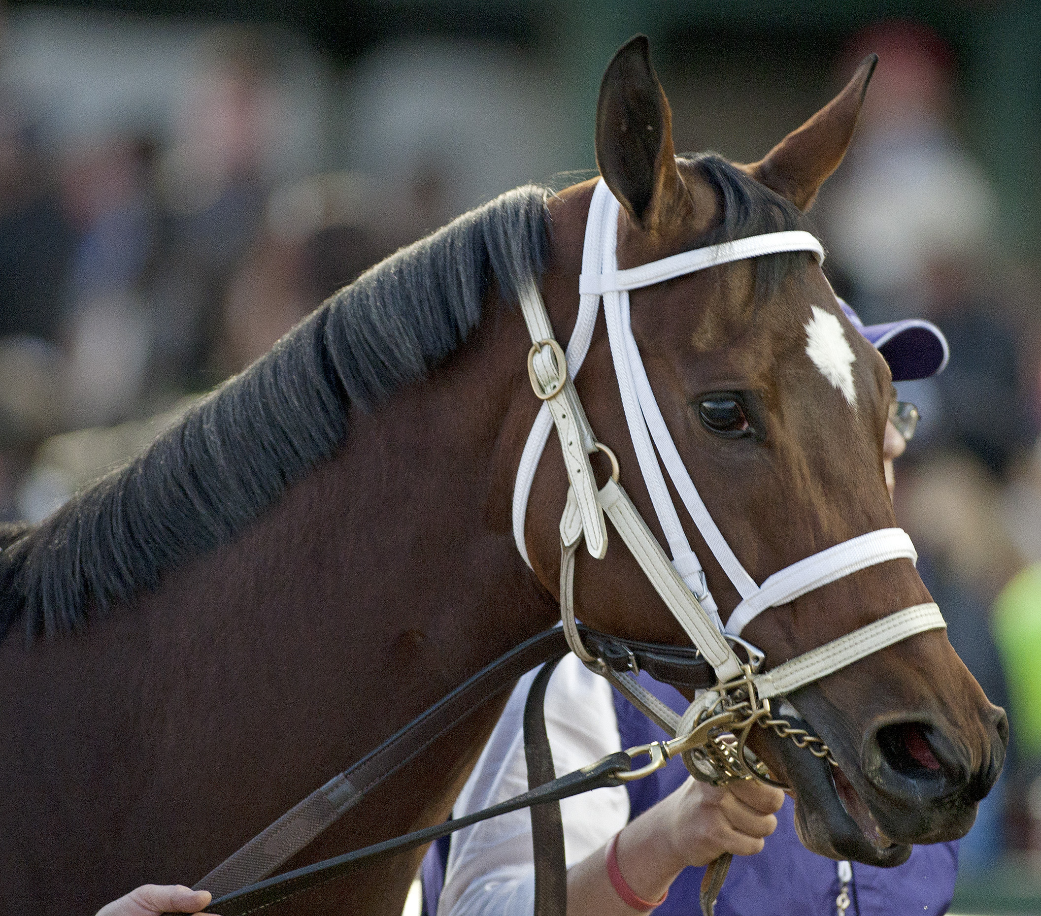 Havre de Grace