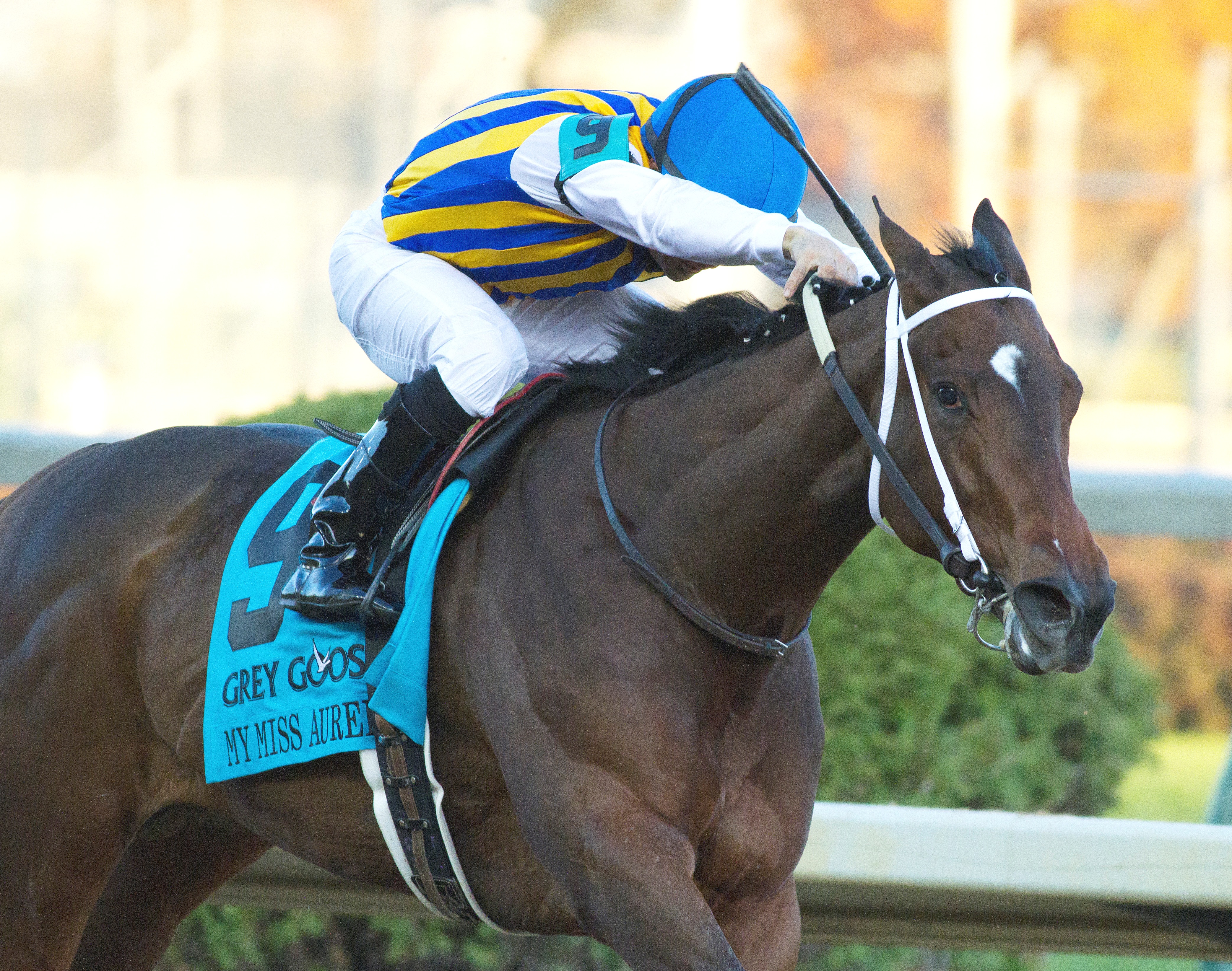 Mu Miss Aurelia, BC Juvenile Fillies