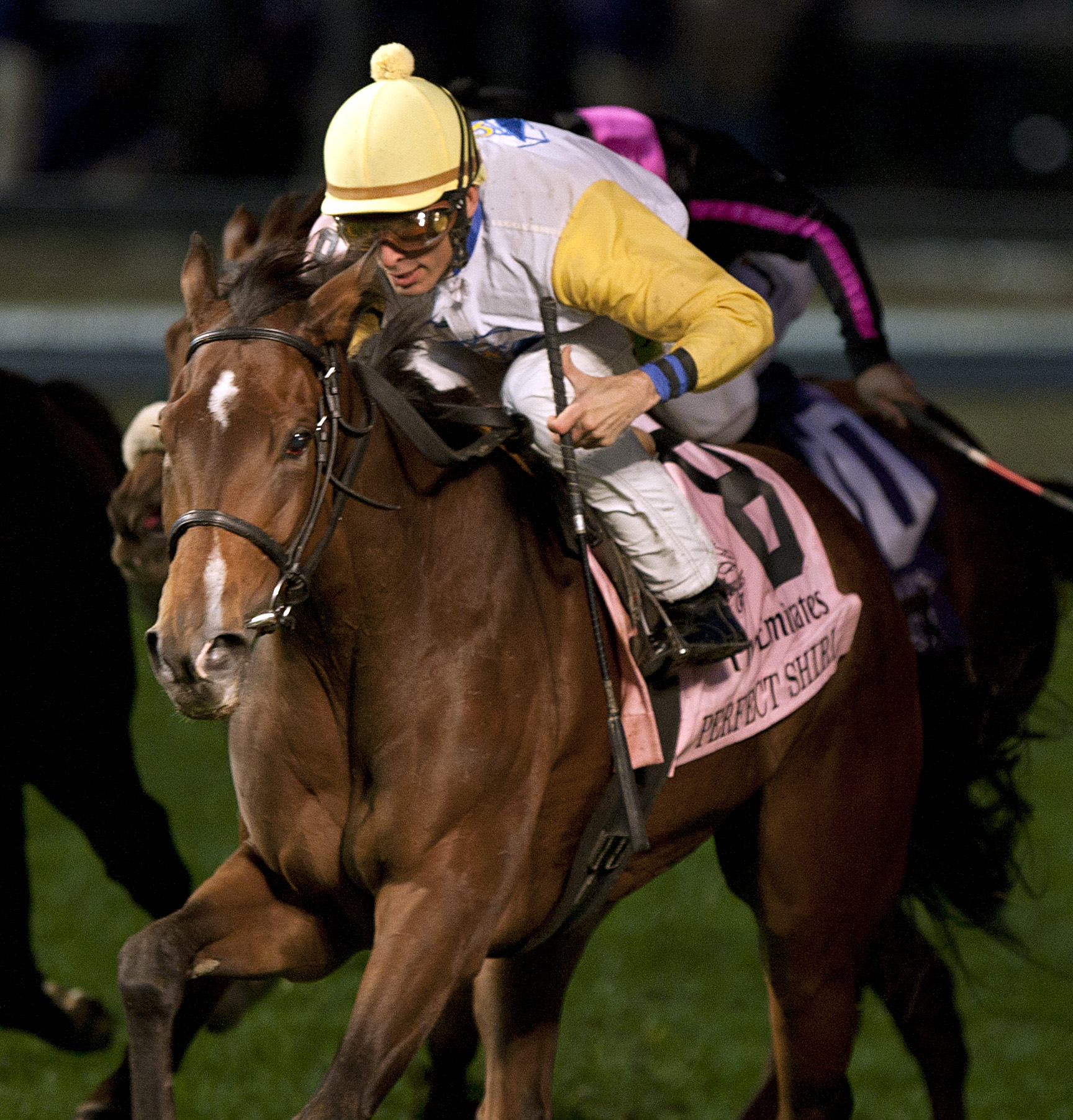 Perfect Shirl/BC Filly and Mare Turf