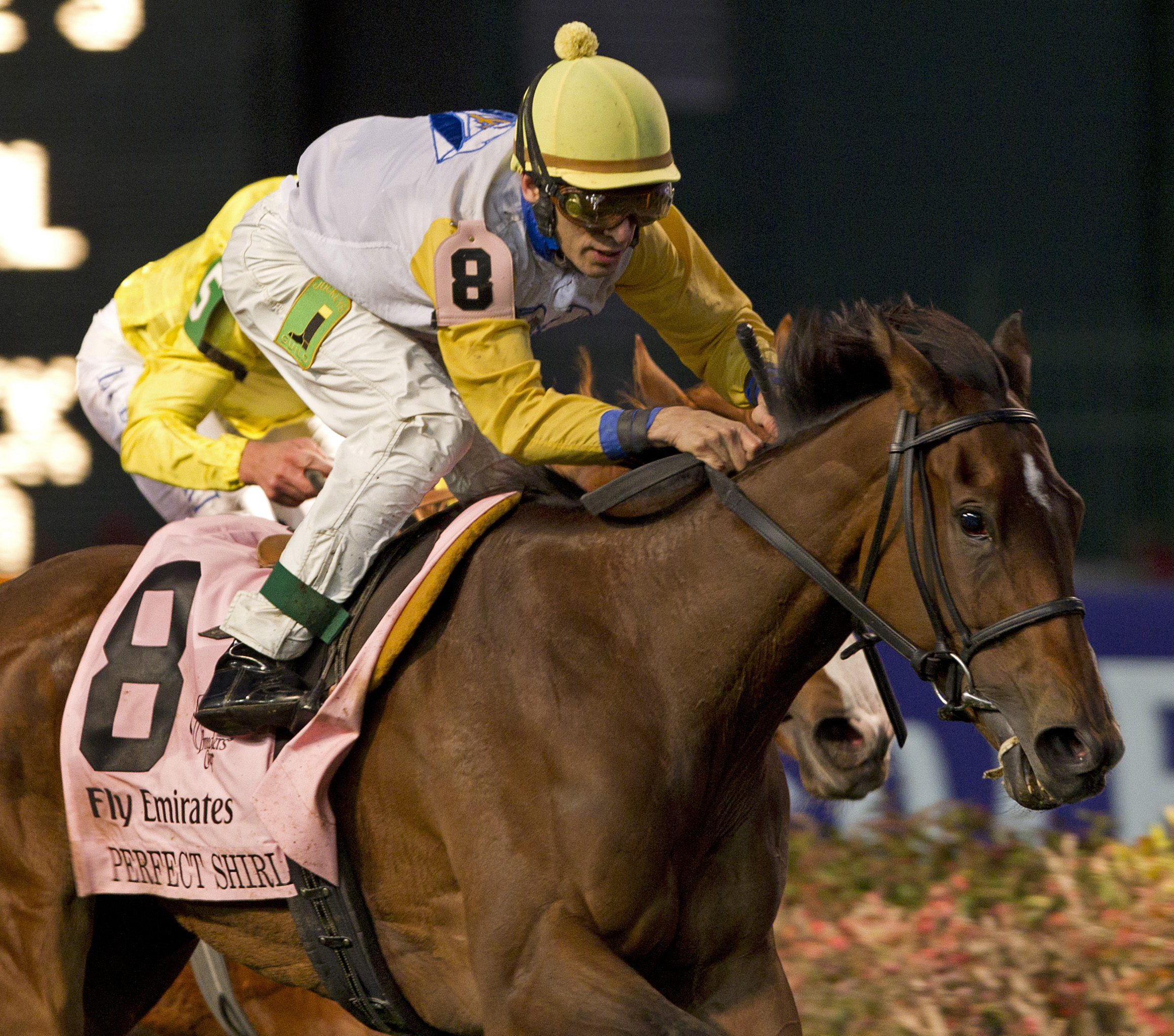 Perfect Shirl/BC Filly and Mare Turf