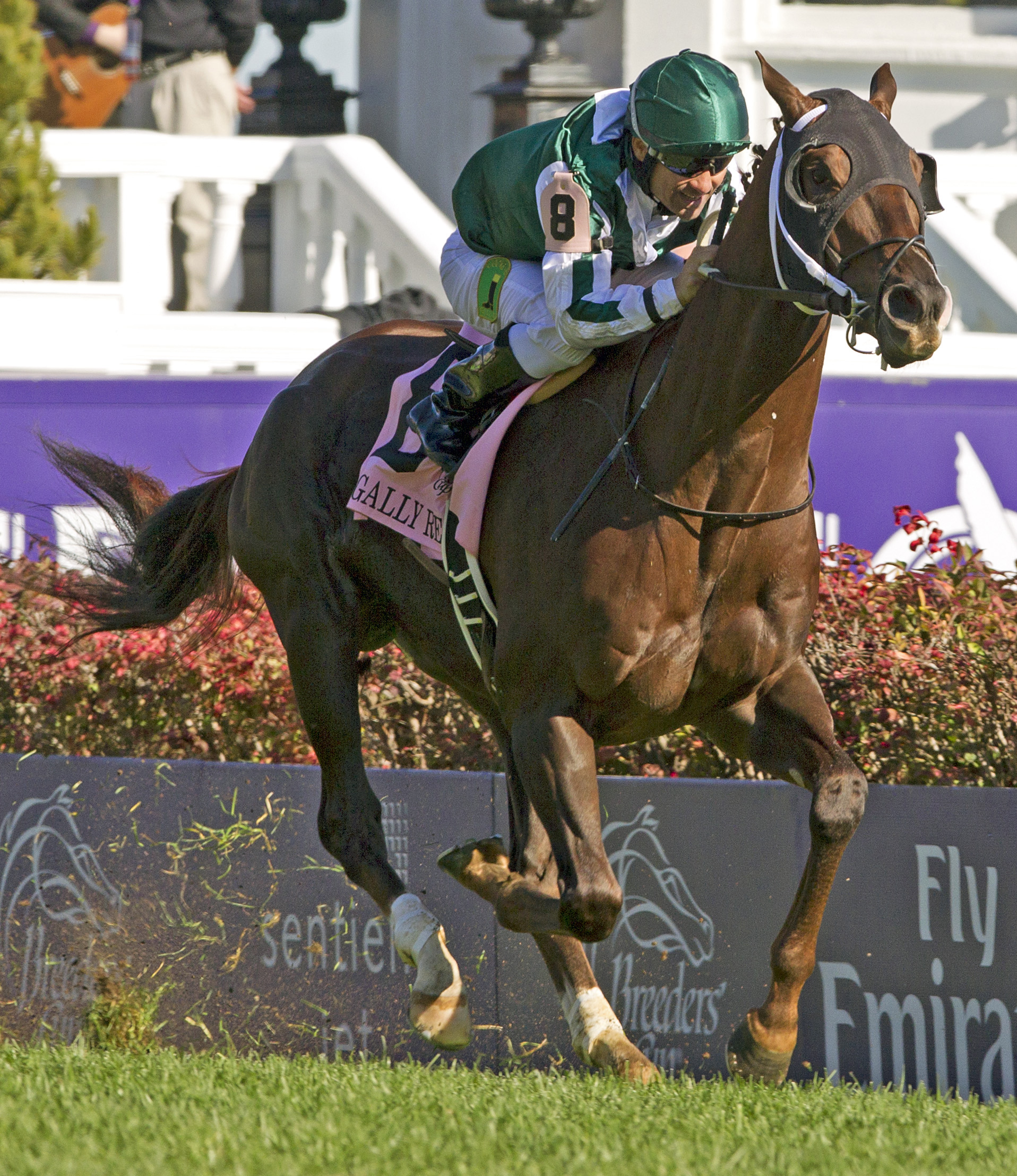 Dubai World Cup preps have American factors