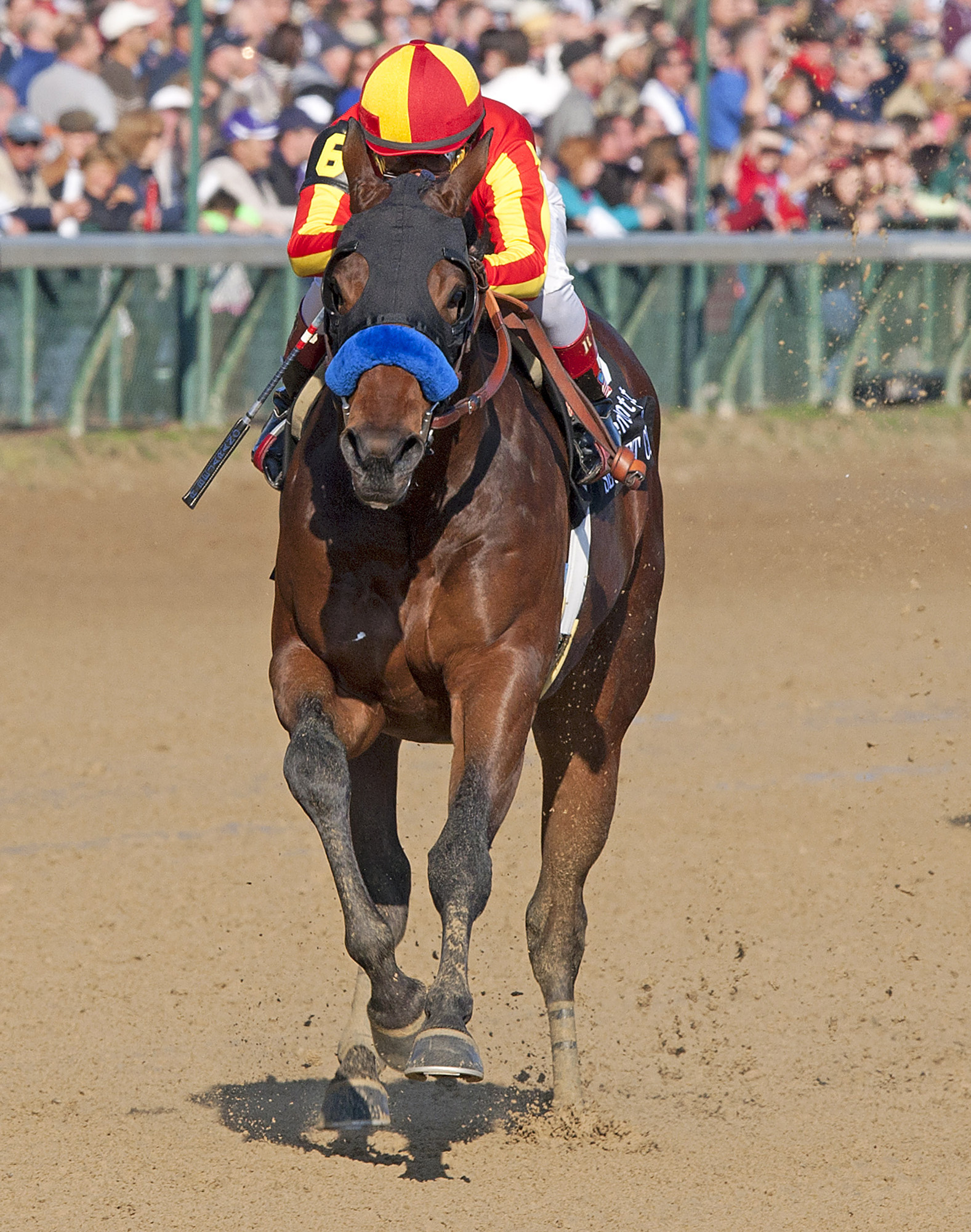 Secret Circle/BC Juvenile Sprint