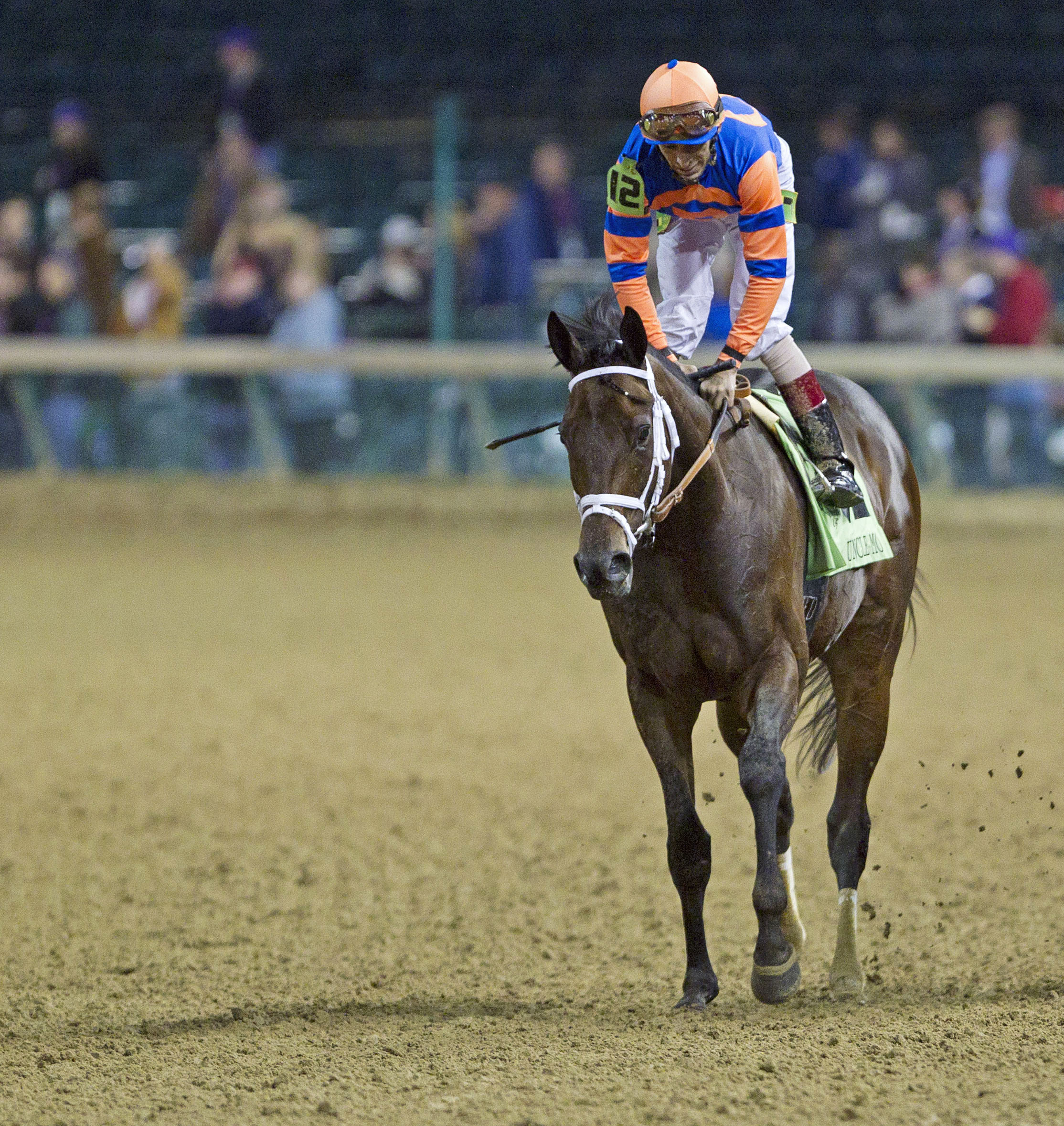 Uncle Mo at the 2011 Breeders' Cup Classic