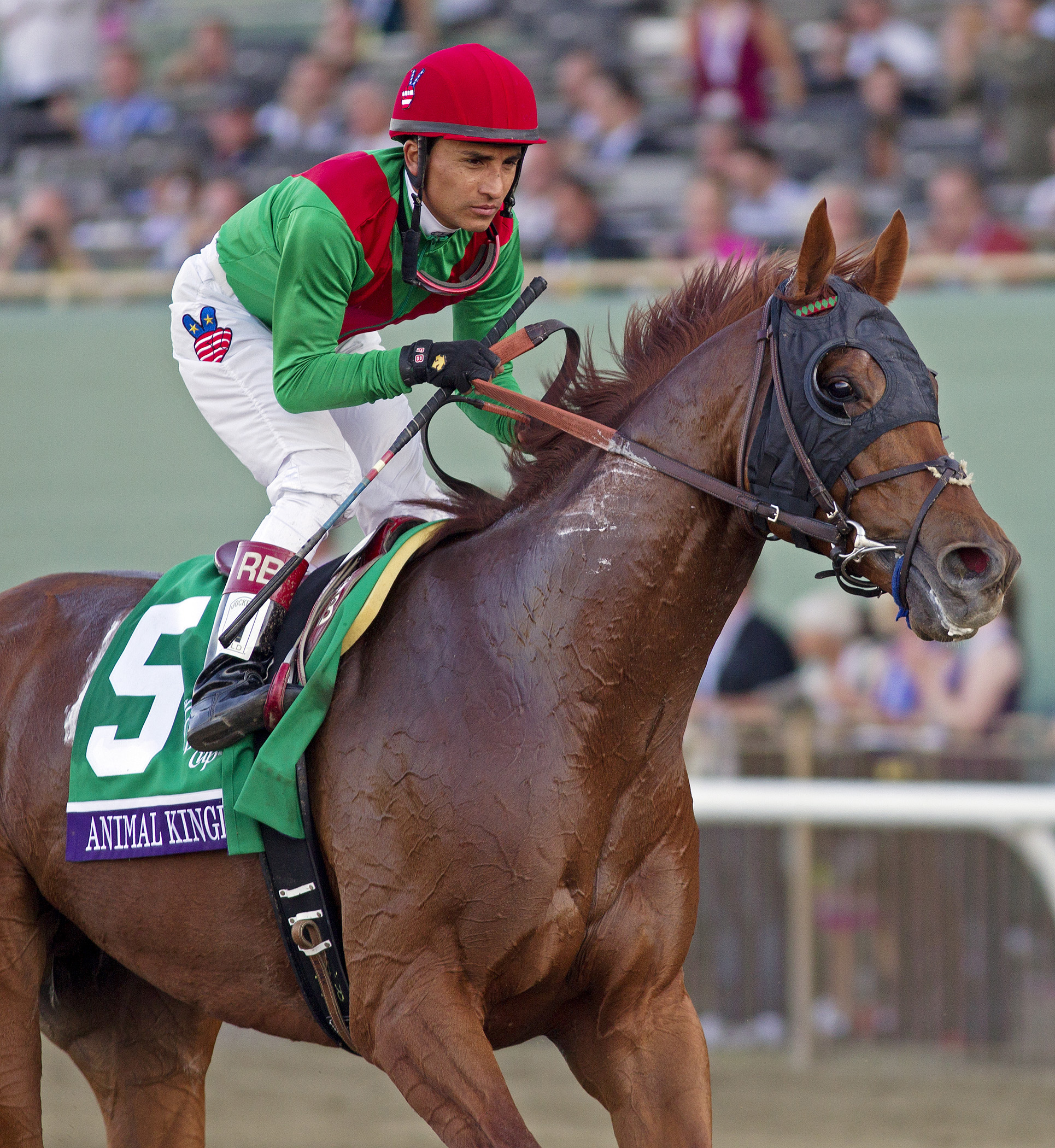 Jerardi: No superstars going into Breeders' Cup, but races produce some super performances