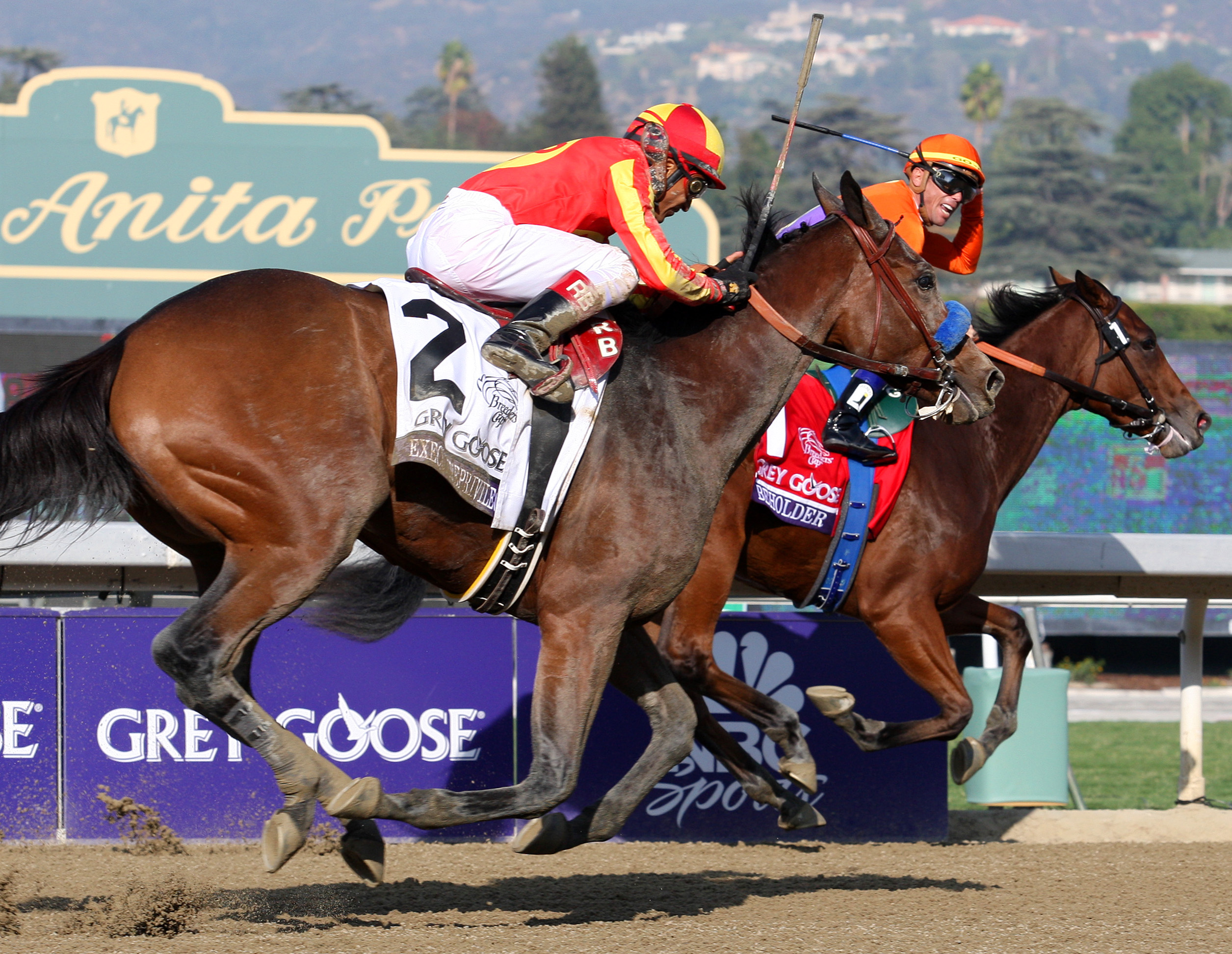 Beholder, Executiveprivilege, Breeders' Cup Juvenile fillies