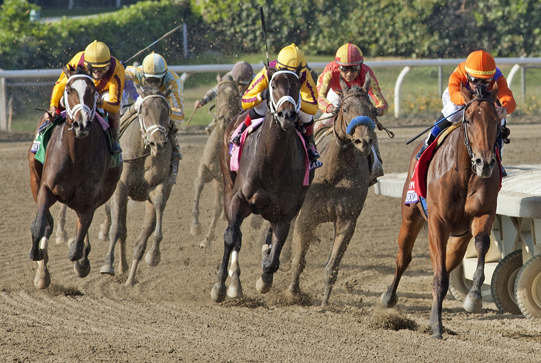 Beholder/BC Juvenile Fillies