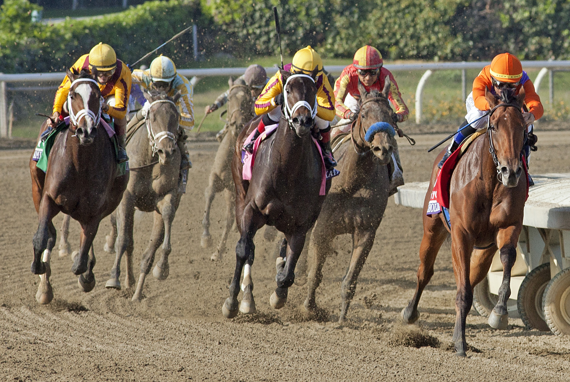 Beholder/BC Juvenile Fillies