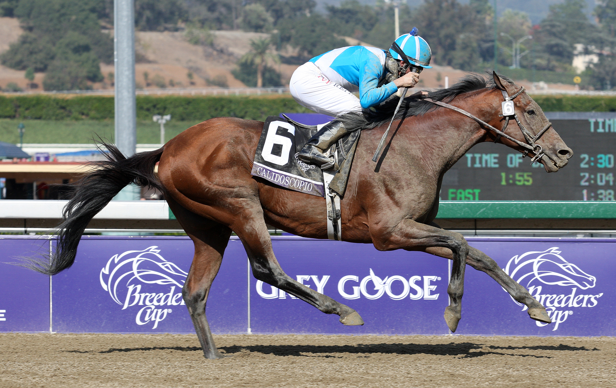 Calidoscopio, Breeders' Cup Marathon