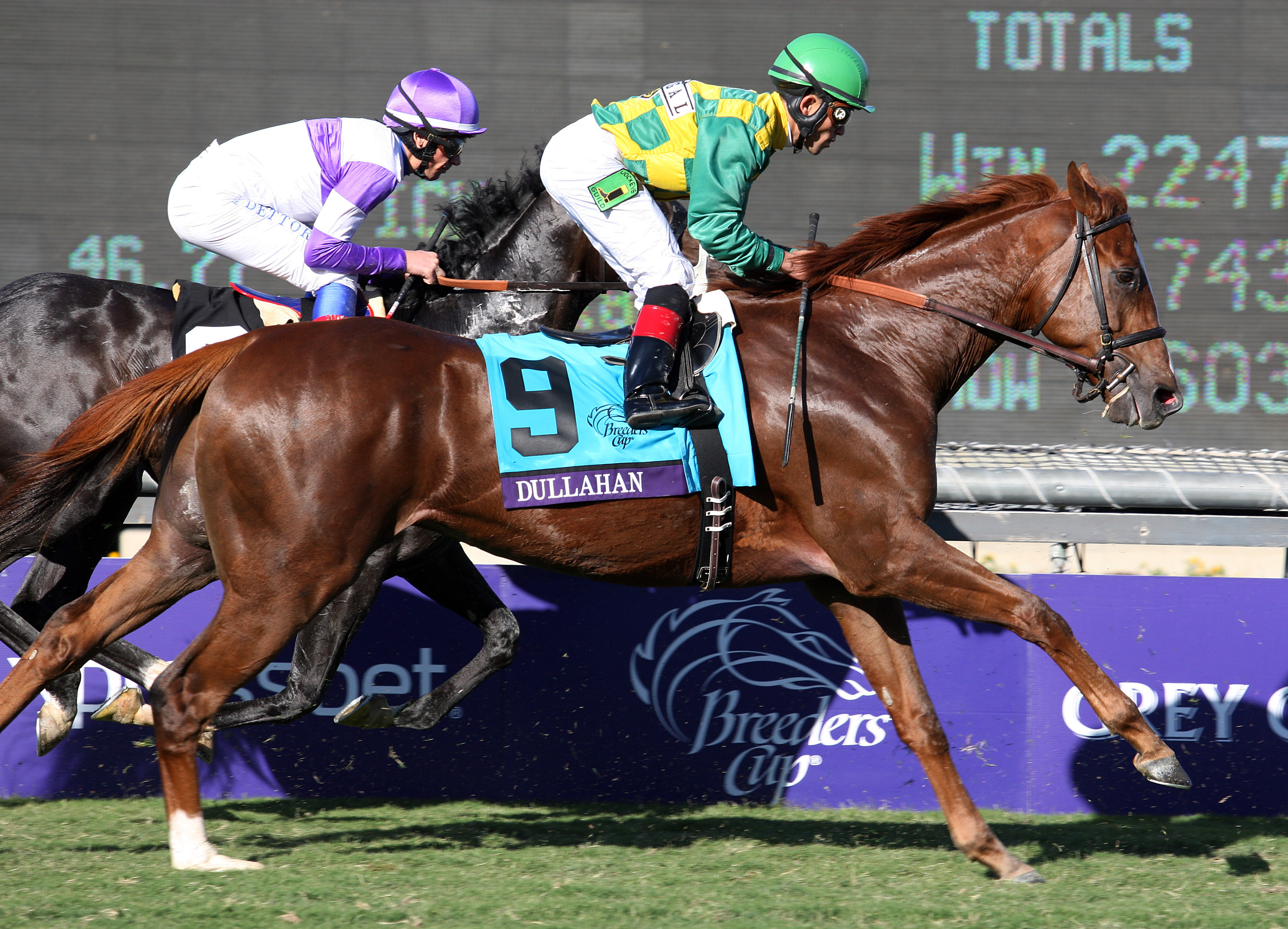 Dullahan, BC Turf