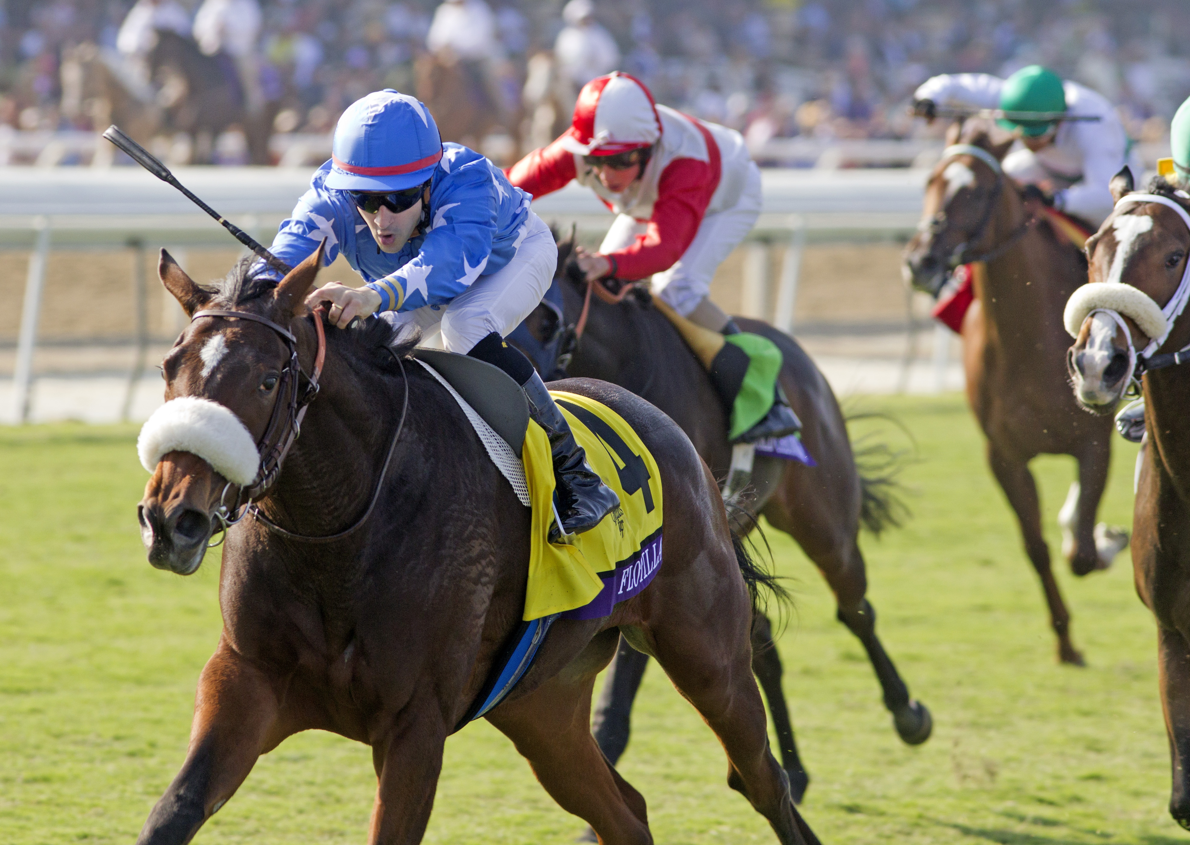 Flotilla/BC Juvenile Fillies Turf