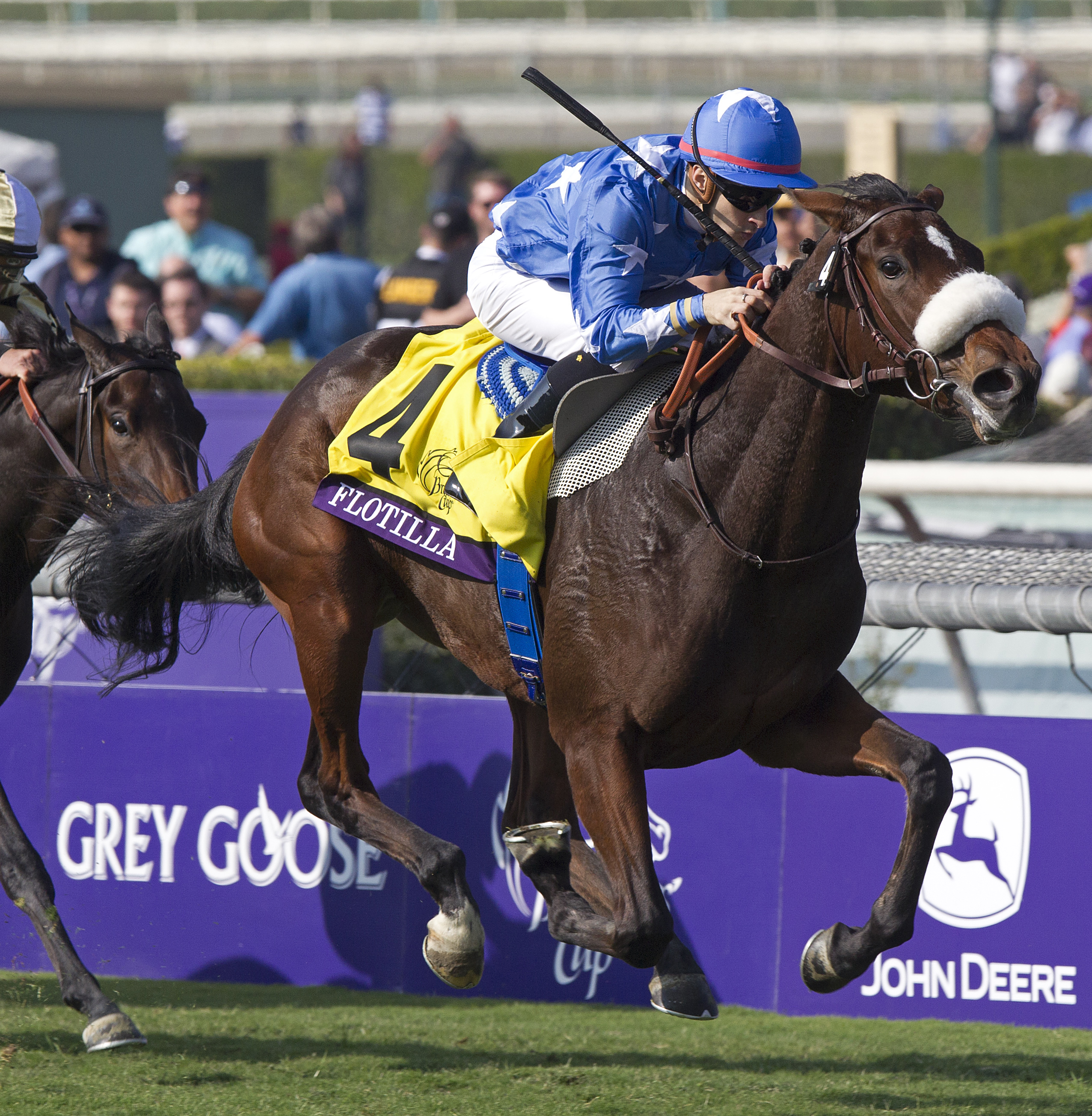 Flotilla, Breeders' Cup Juvenile Fillies Turf