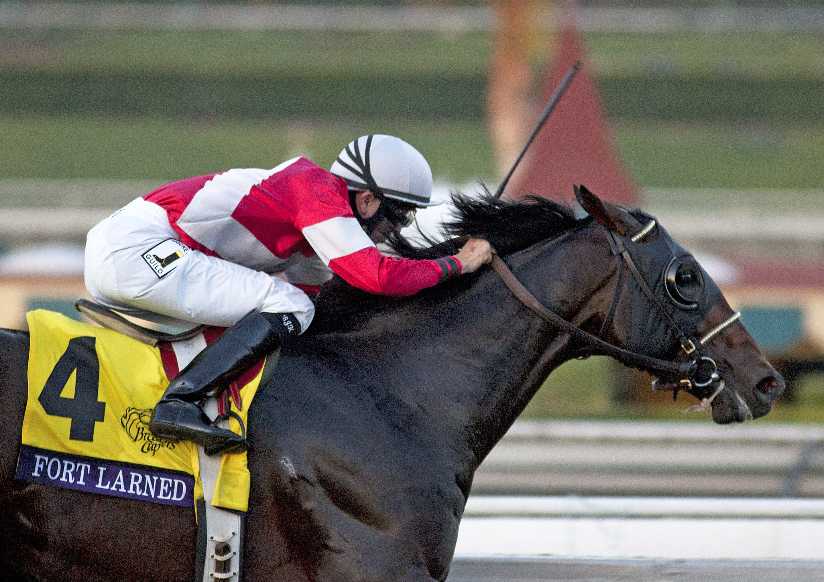Fort Larned, Breeders' Cup Classic