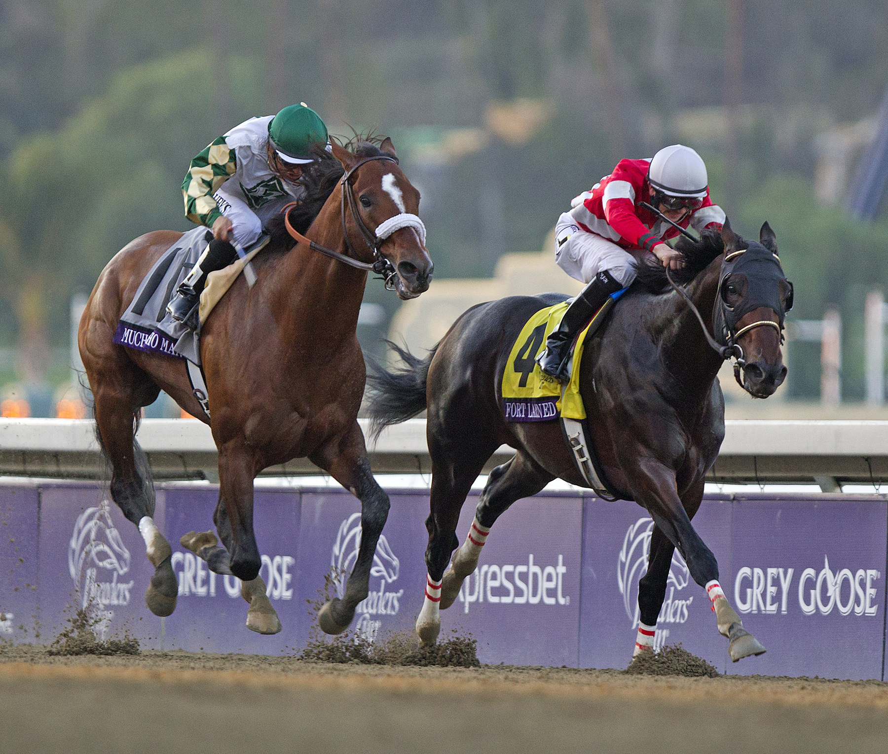 Fort Larned wins the 2012 Breeders' Cup Classic