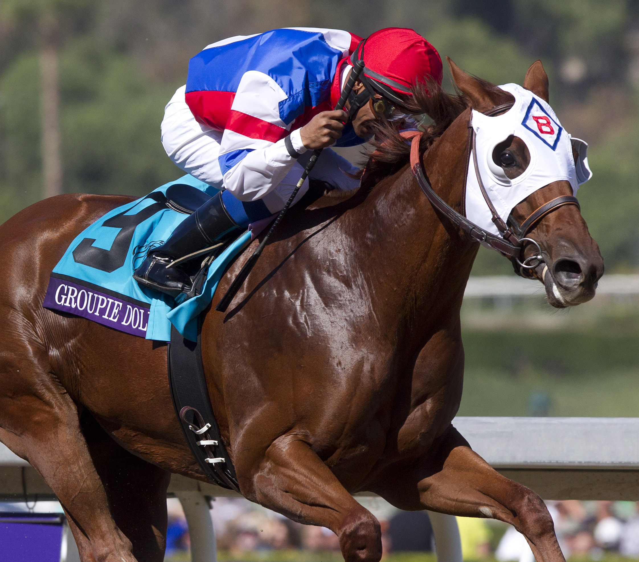 Groupie Doll/BC Filly and Mare Sprint