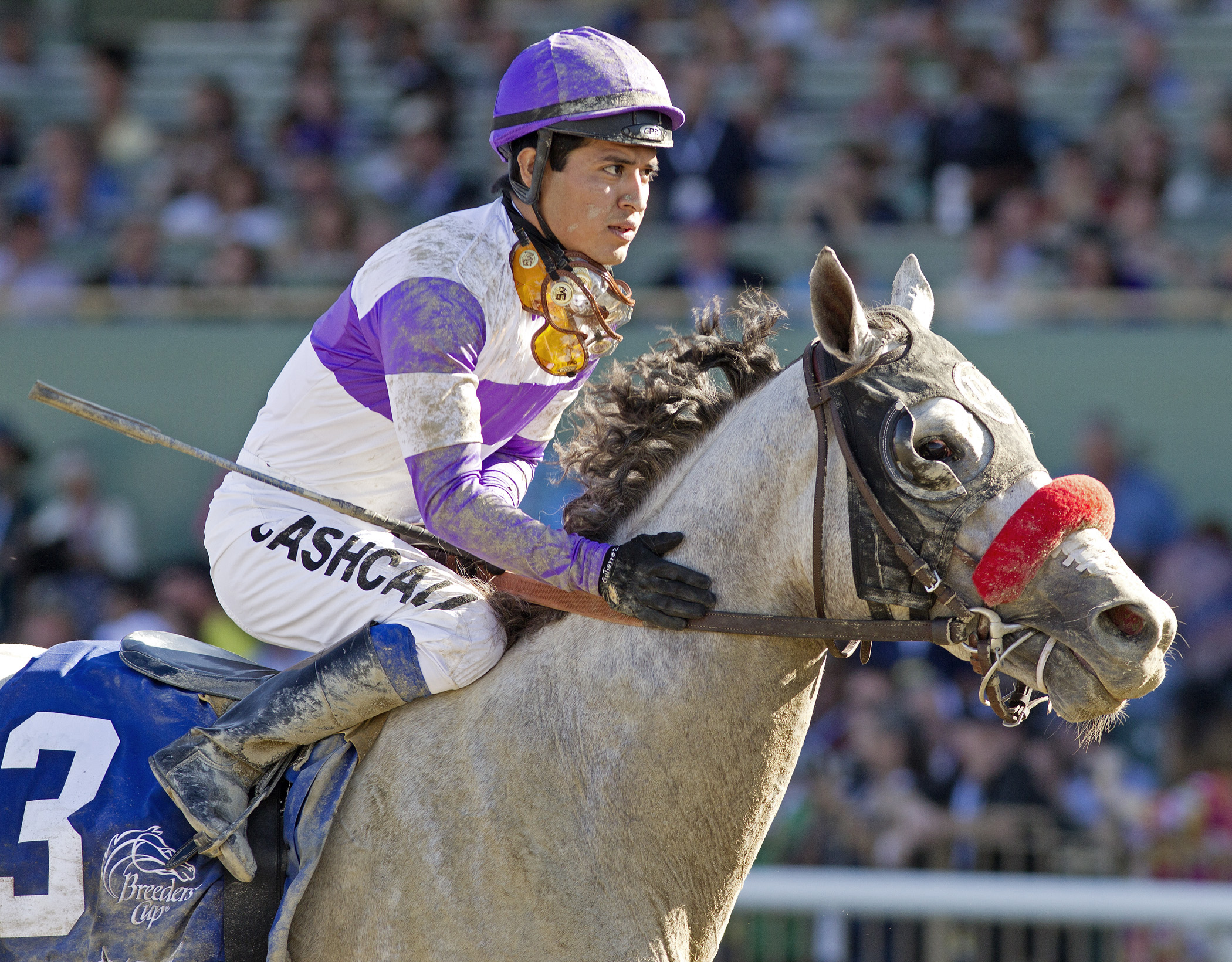 He's Had Enough - 2012 Breeders' Cup