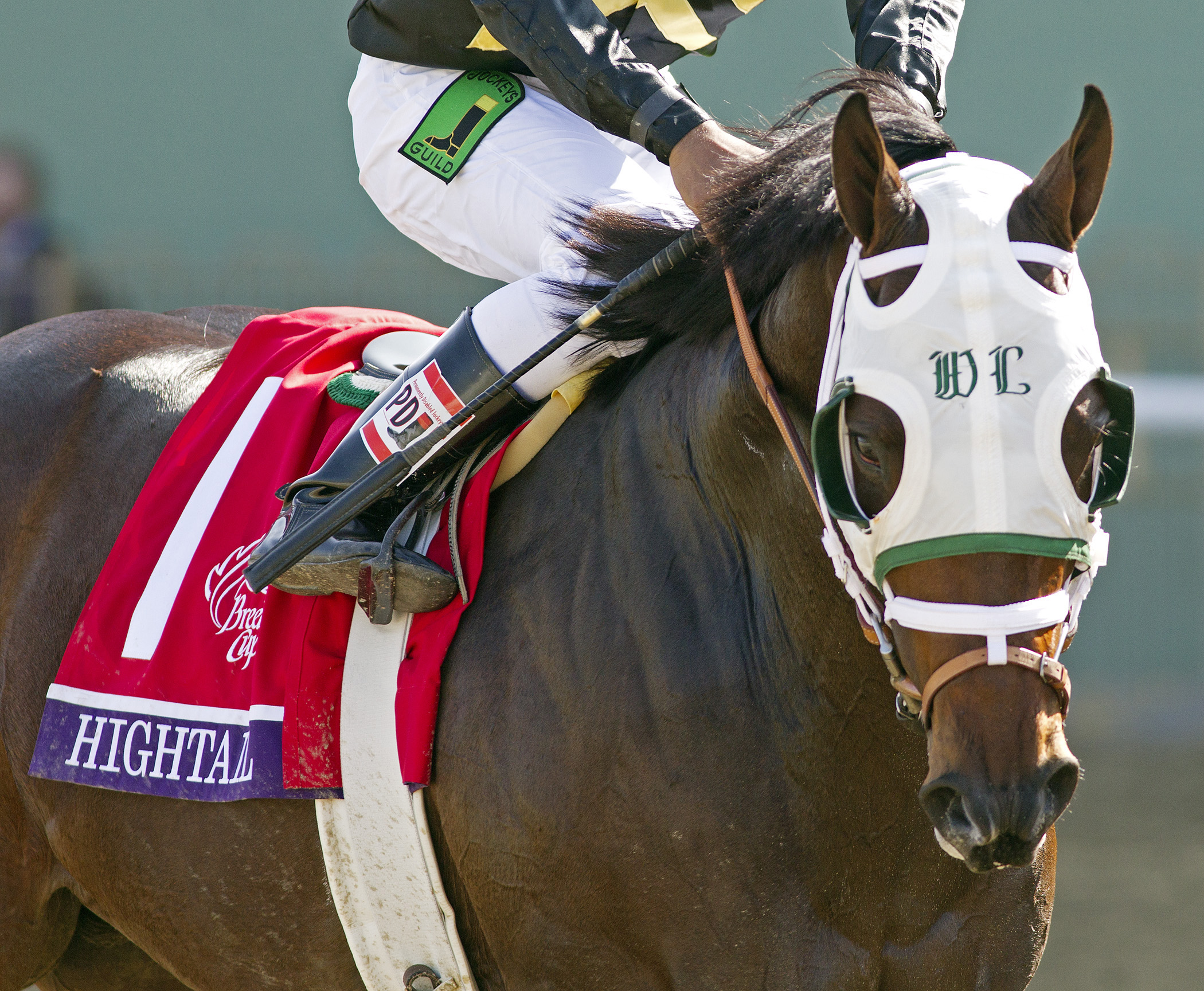 Hightail, Breeders' Cup Juvenile Sprint