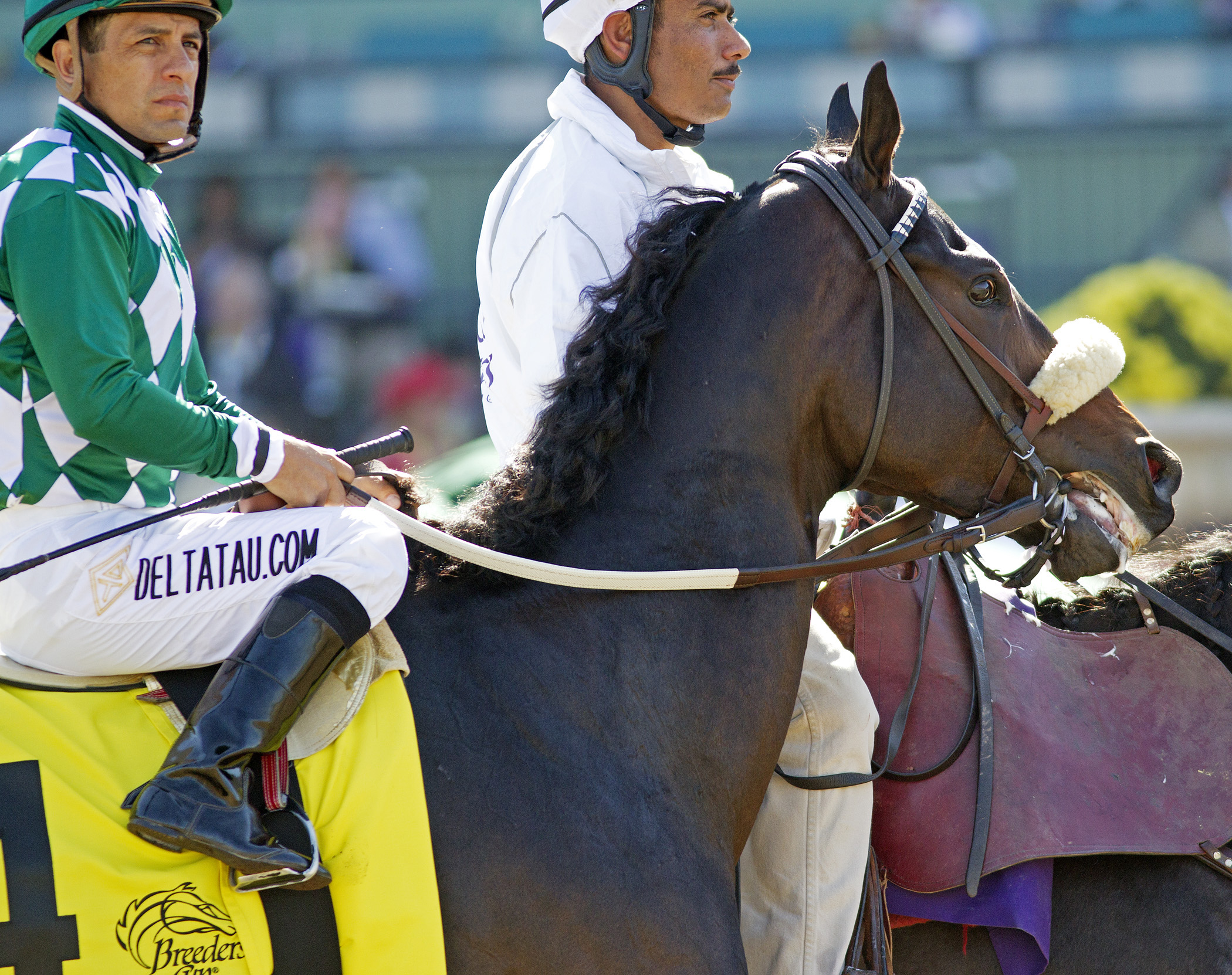 Weekend Warrior for Jan. 5, 2013: Picks for the San Pasqual, Marshua's River, and Jerome