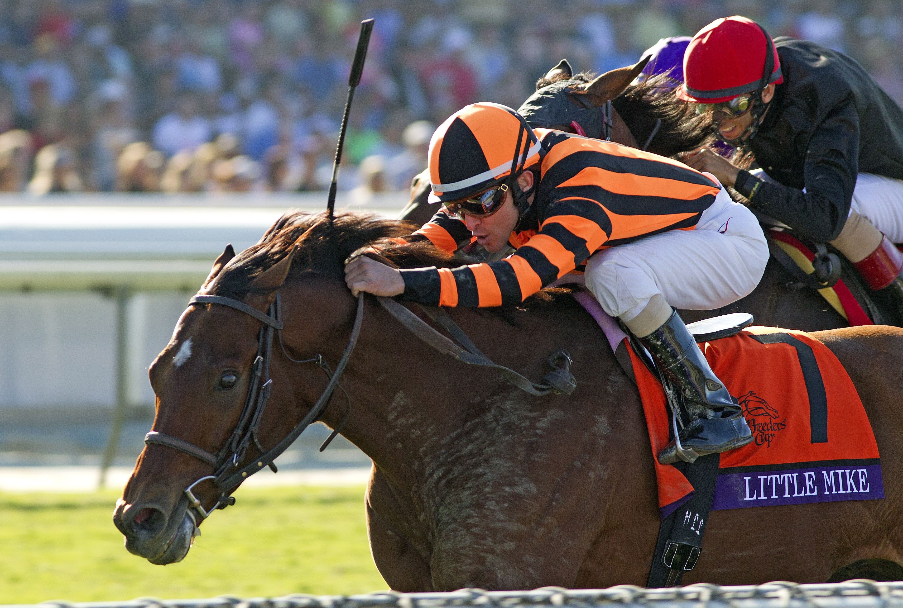Little Mike/Breeders' Cup Turf