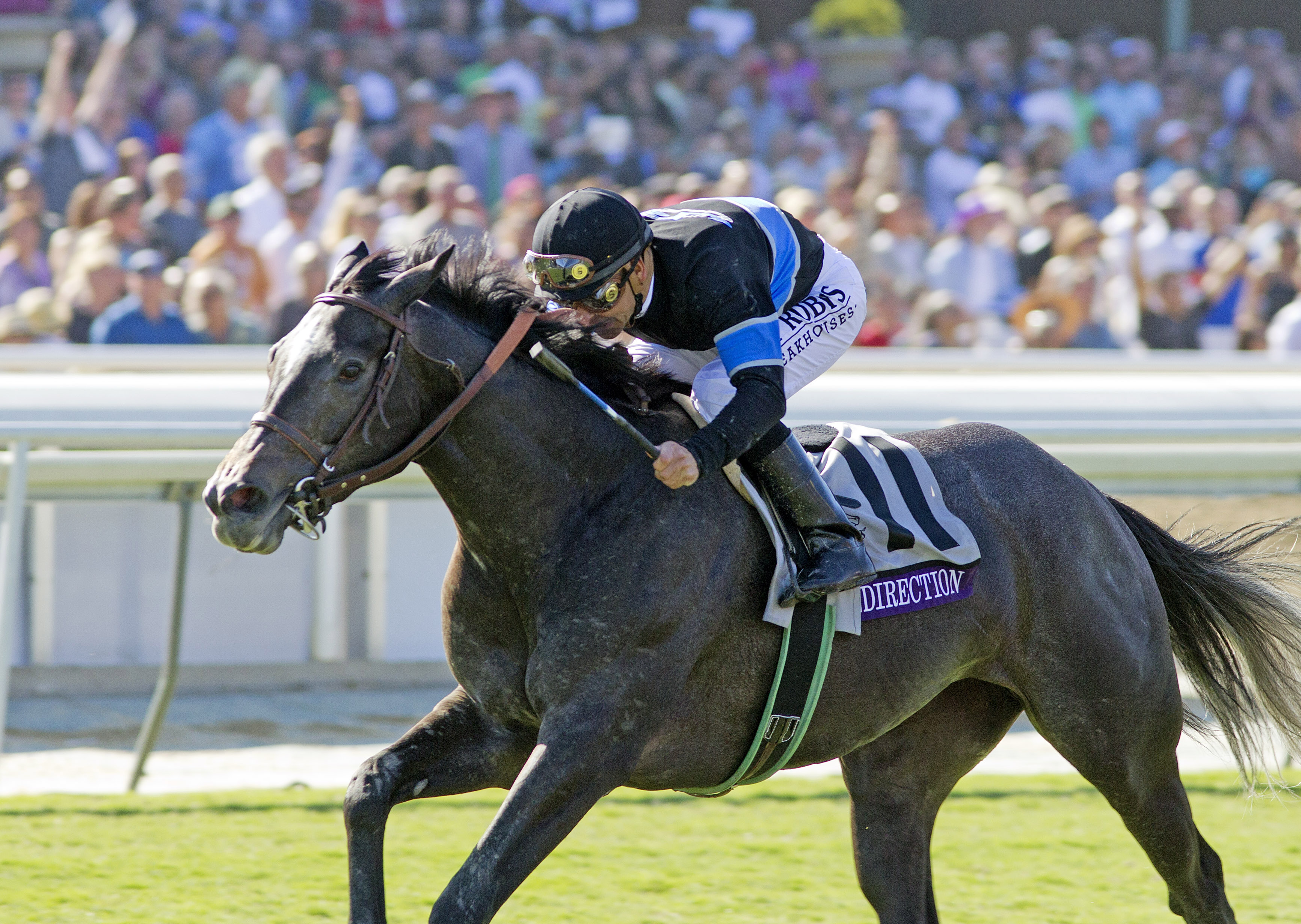 Mizdirection/BC Turf Sprint