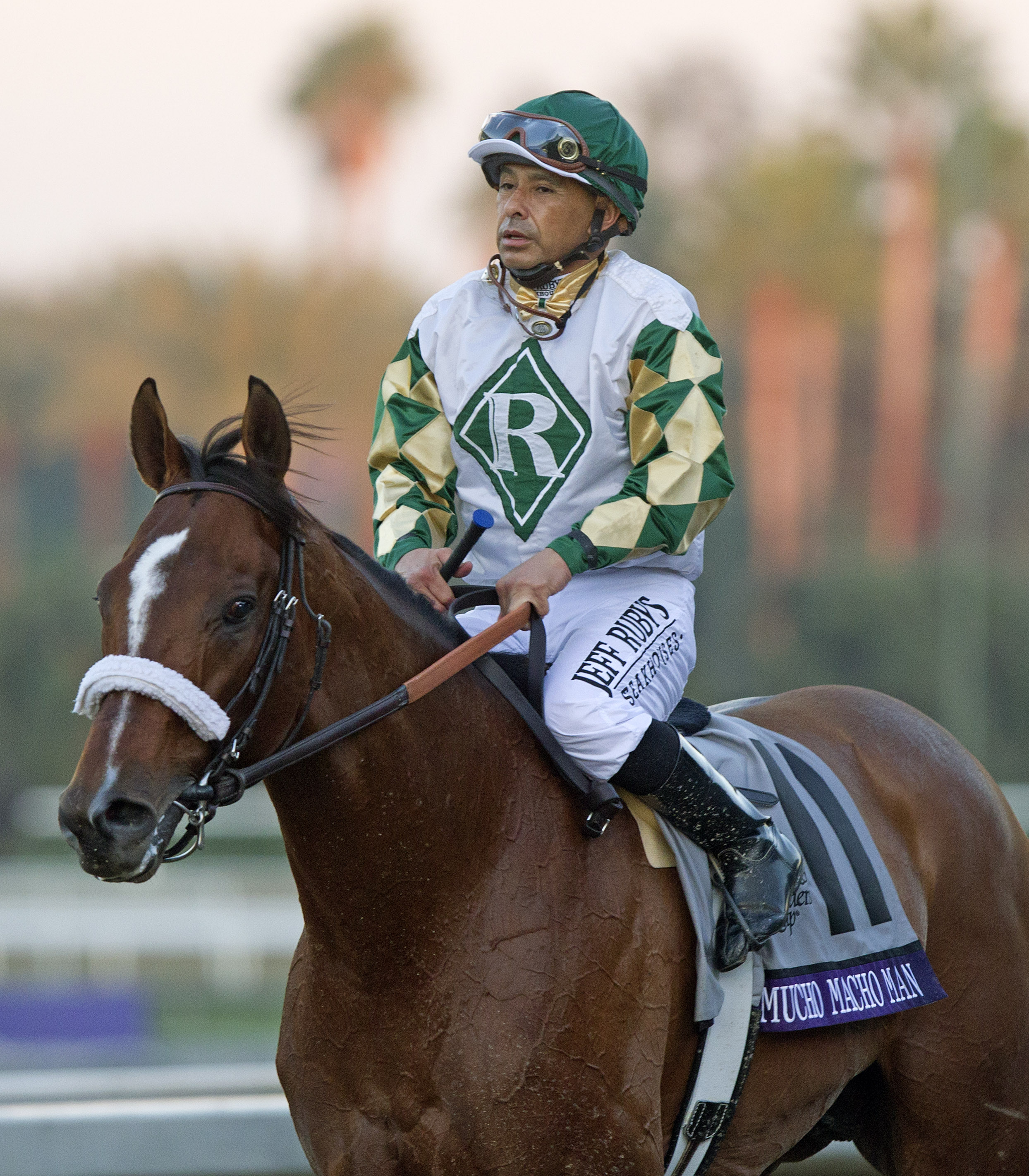 Mike Smith and Mucho Macho Man/BC Classic