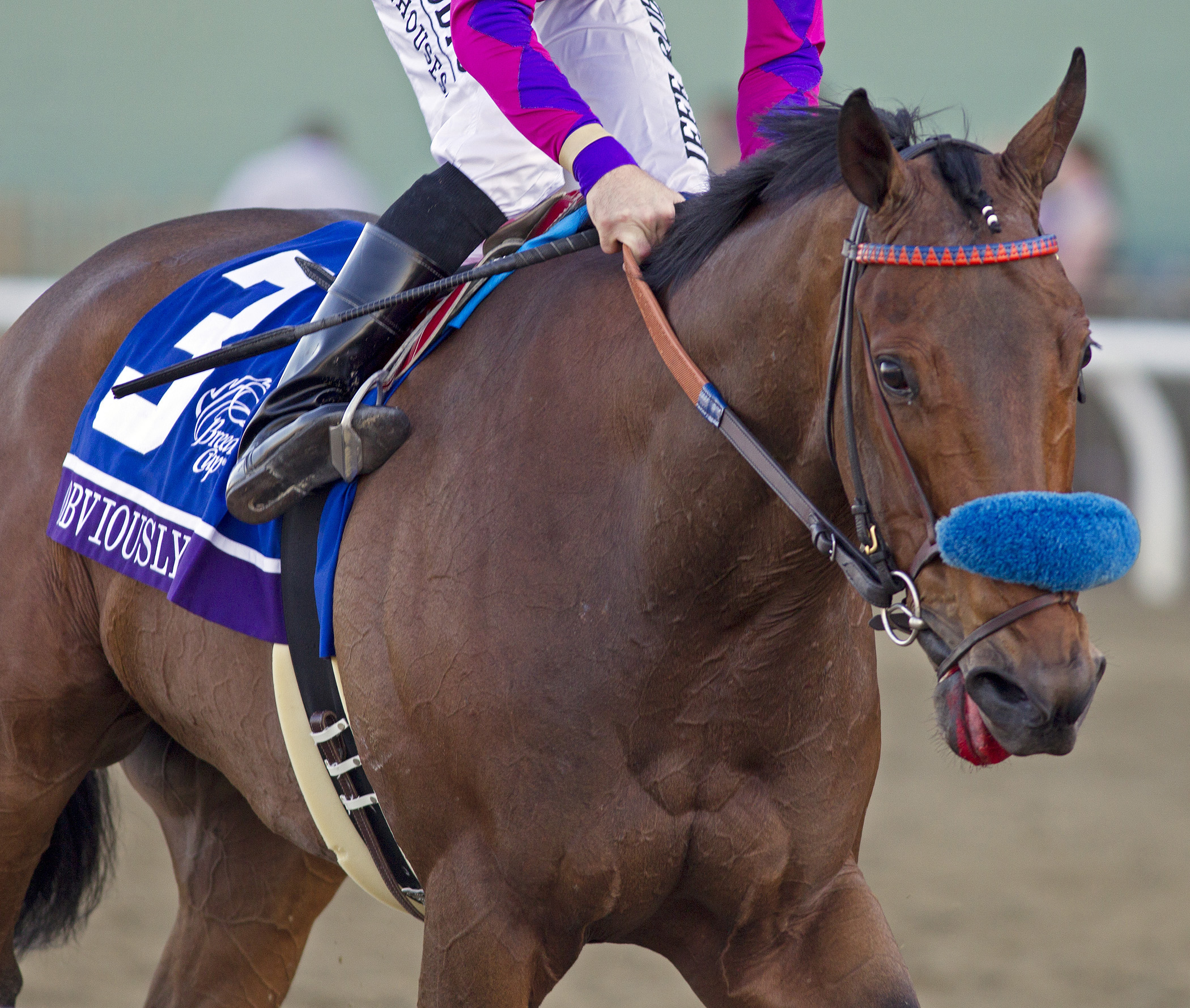 Obviously, BC Mile