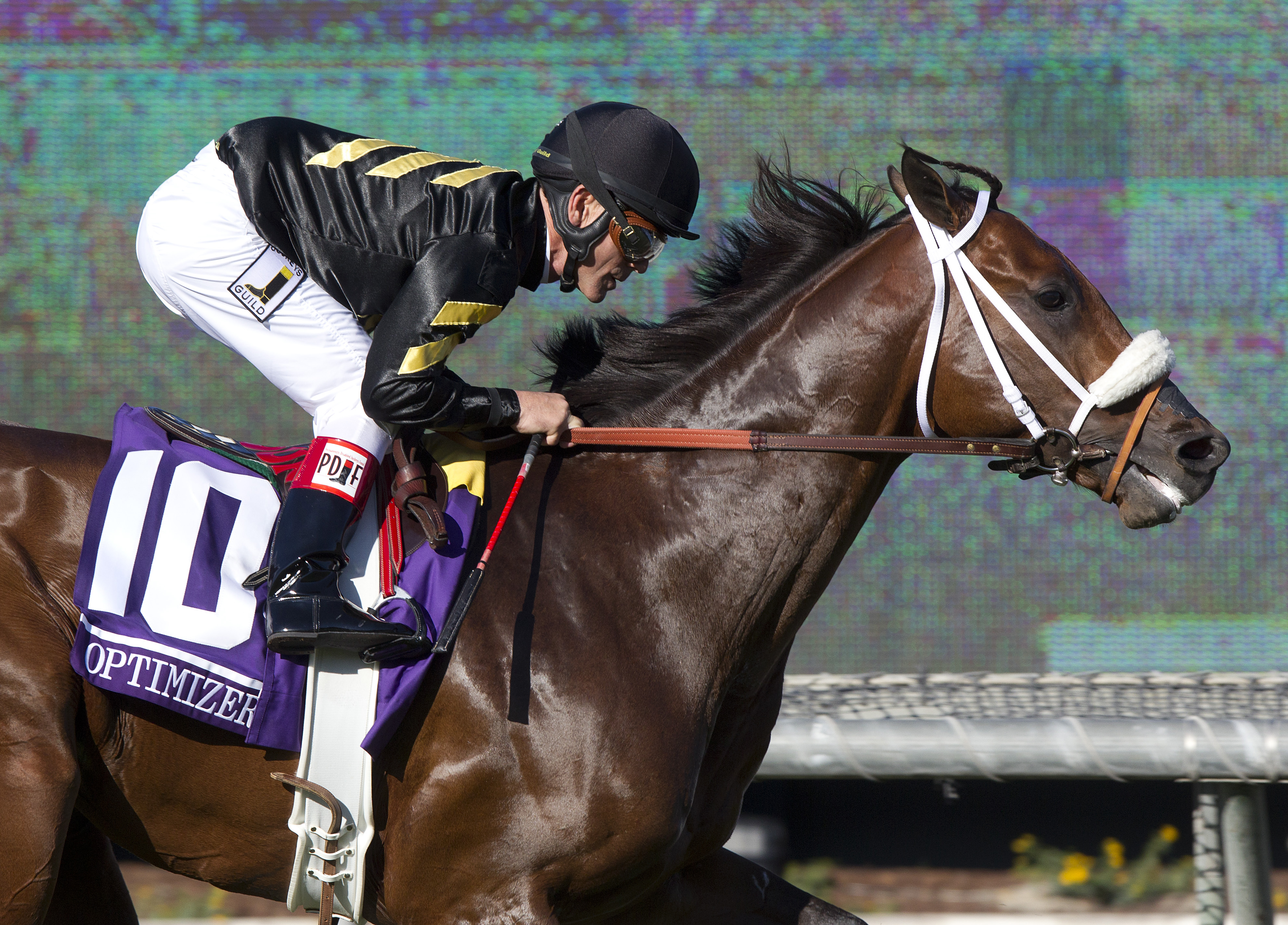Optimizer, Breeders' Cup Turf