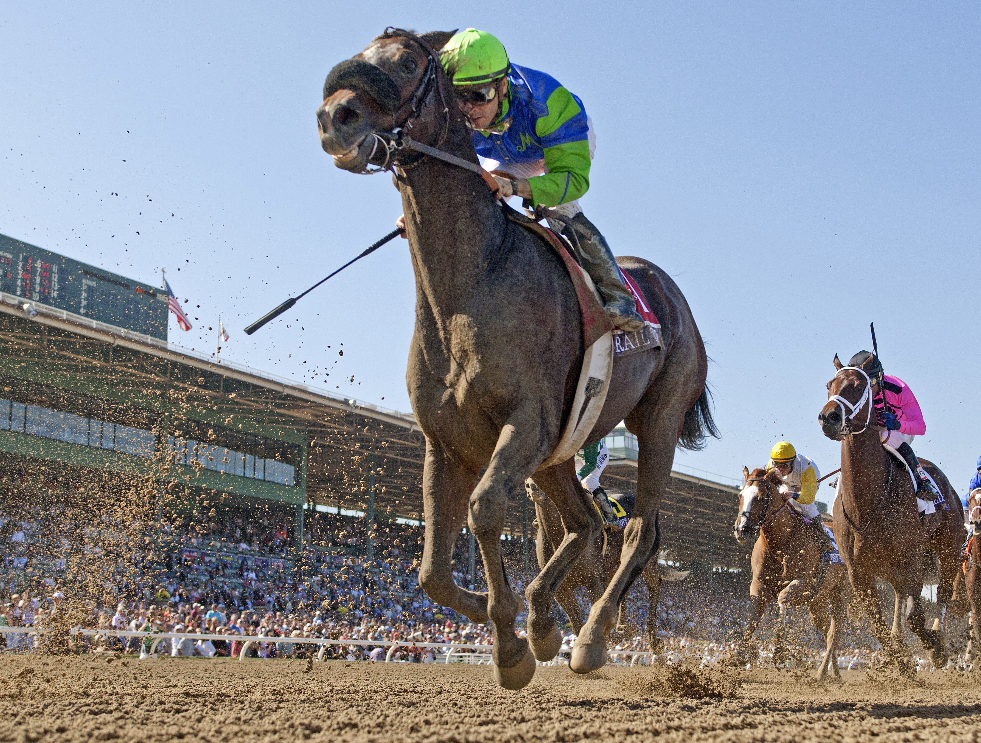 Rail Trip, Breeders' Cup Dirt Mile
