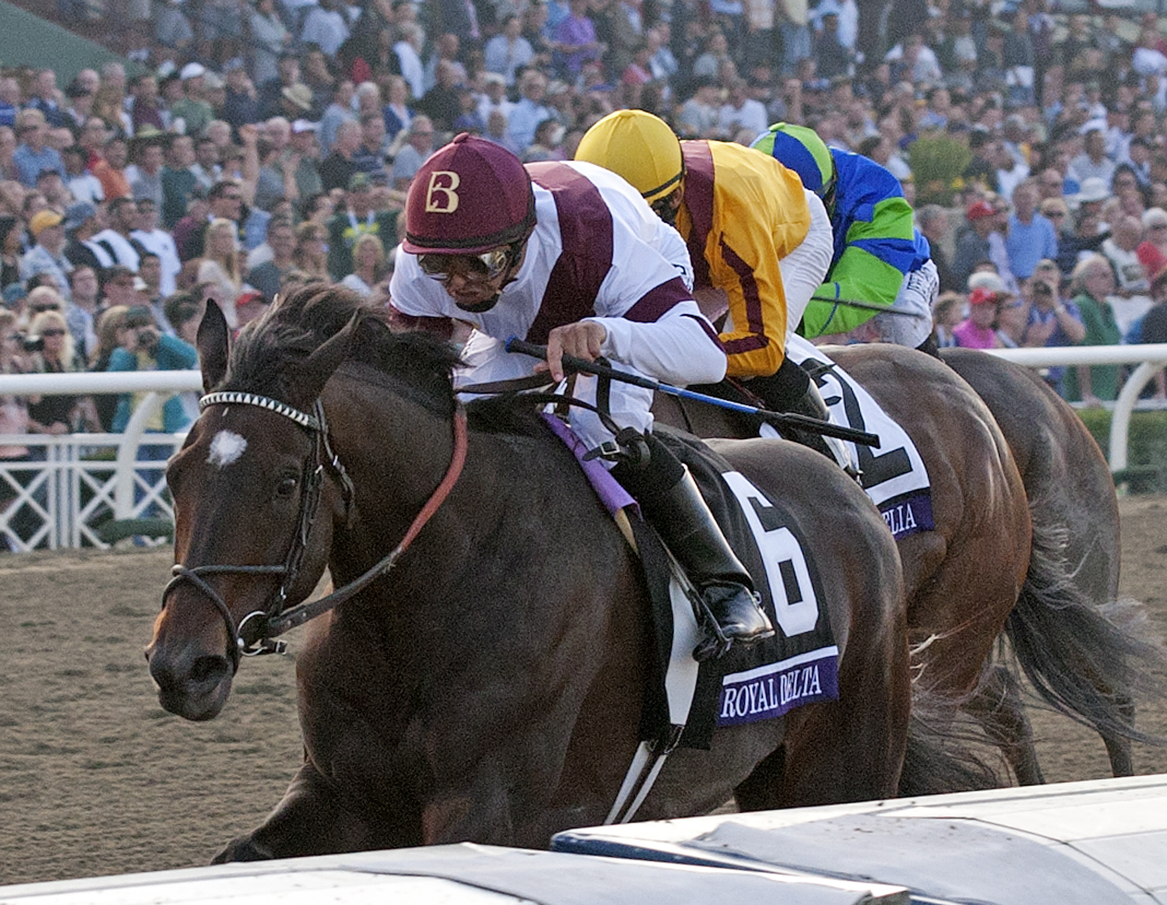 Royal Delta wins the BC Ladies' Classic