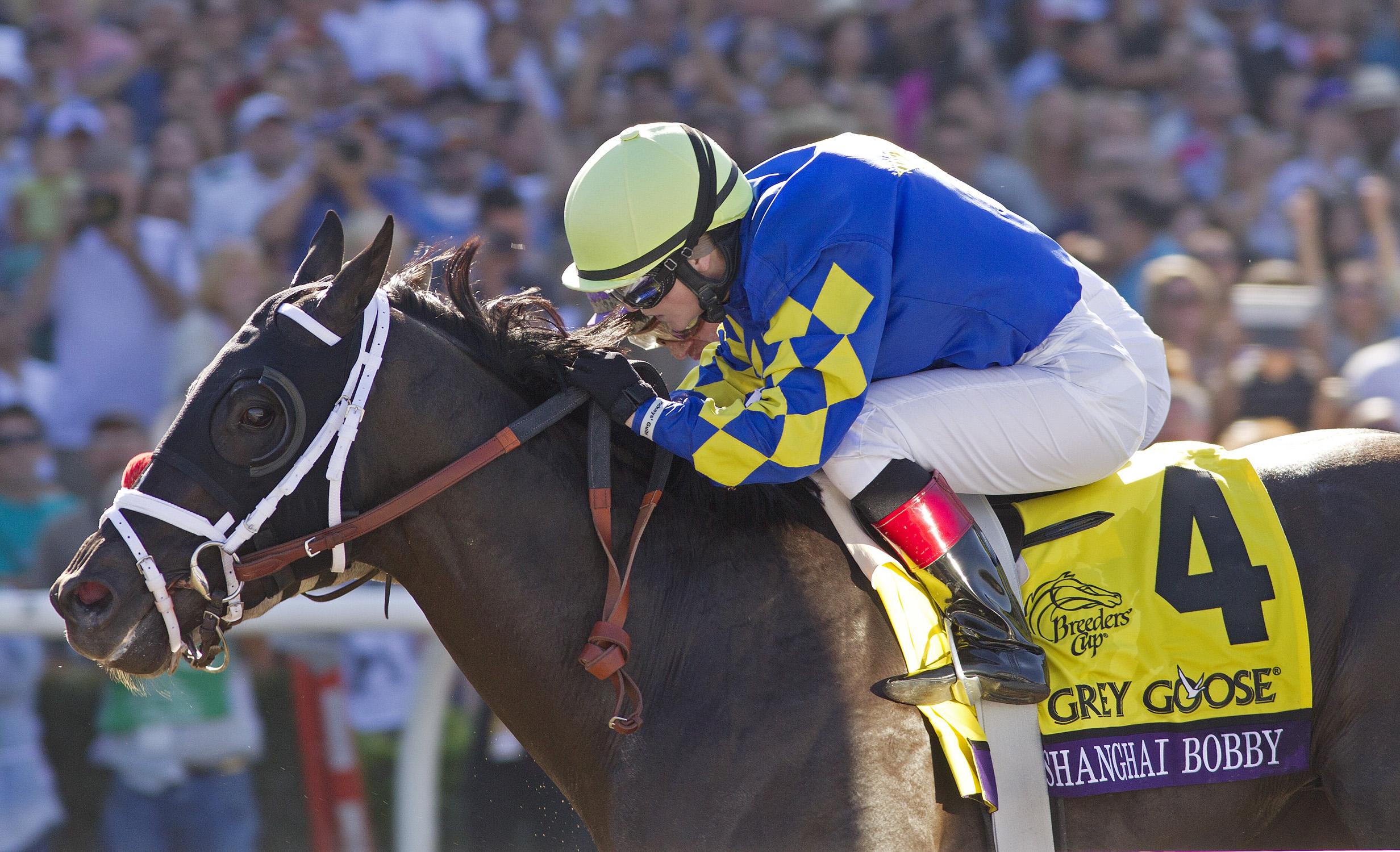 Shanghai Bobby, Breeders' Cup Juvenile