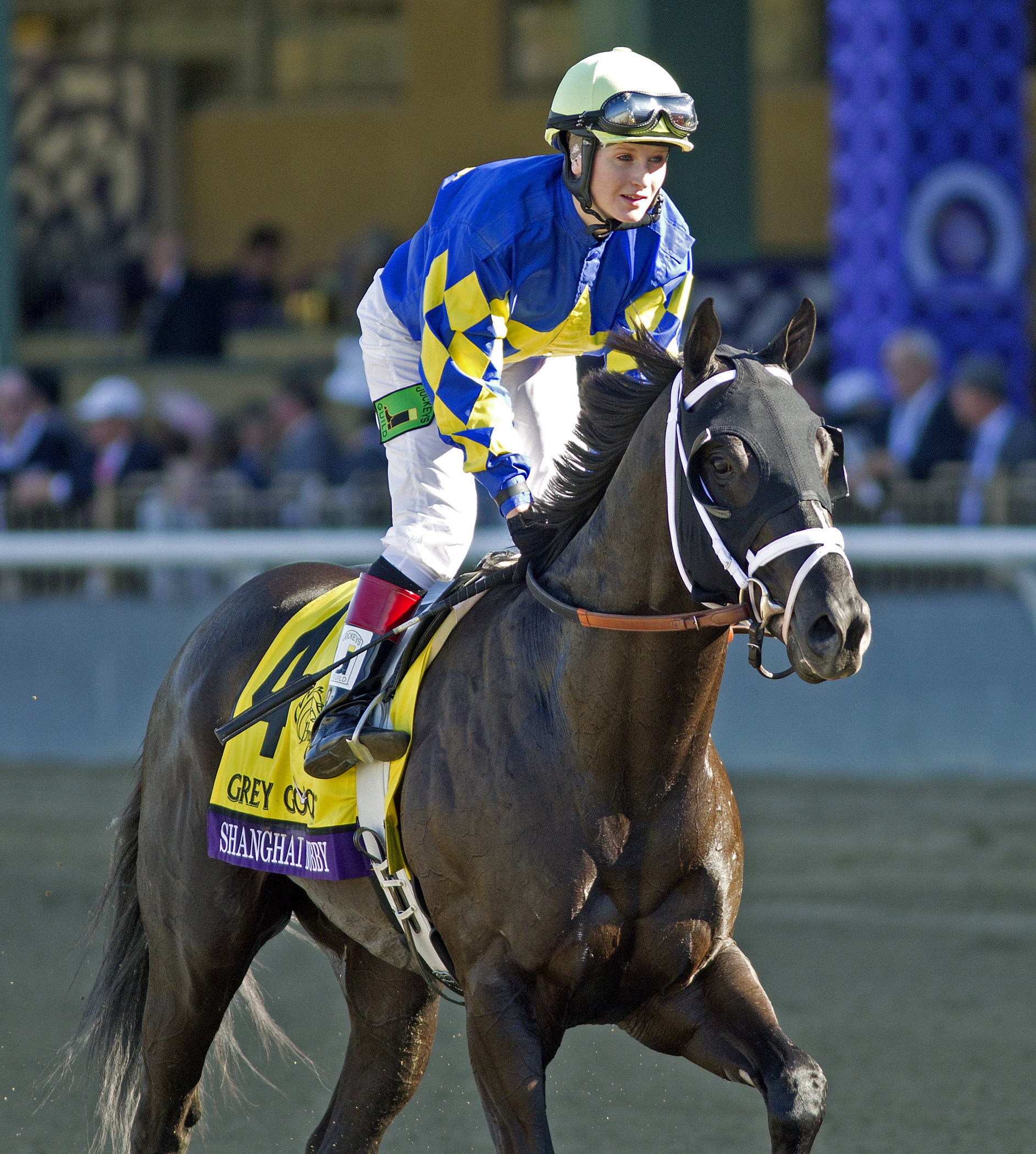 Shanghai Bobby - 2012 Breeders' Cup