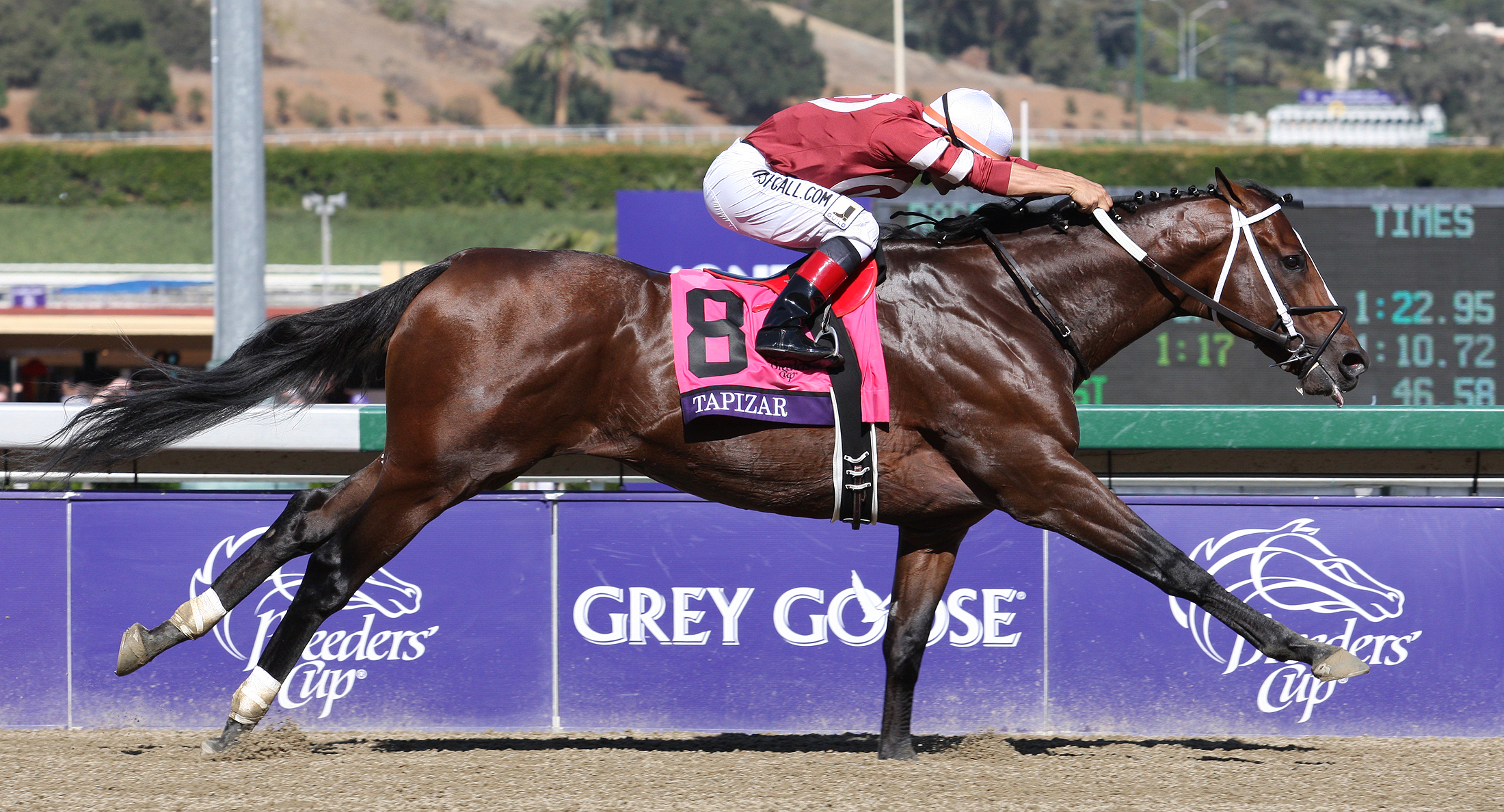 Tapizar/BC Dirt Mile